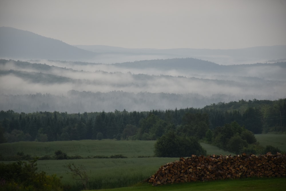 a foggy valley with a pile of wood in the foreground
