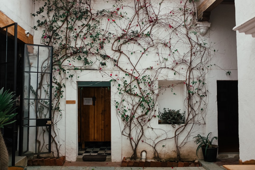 a building with vines growing on the side of it