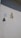 A white wall features a doorbell with a sign next to it that says 'BELL' and an arrow pointing to the push button. Above, there are metallic house numbers and a letter 'B 38'. The shadow of the lettering is visible on the wall.