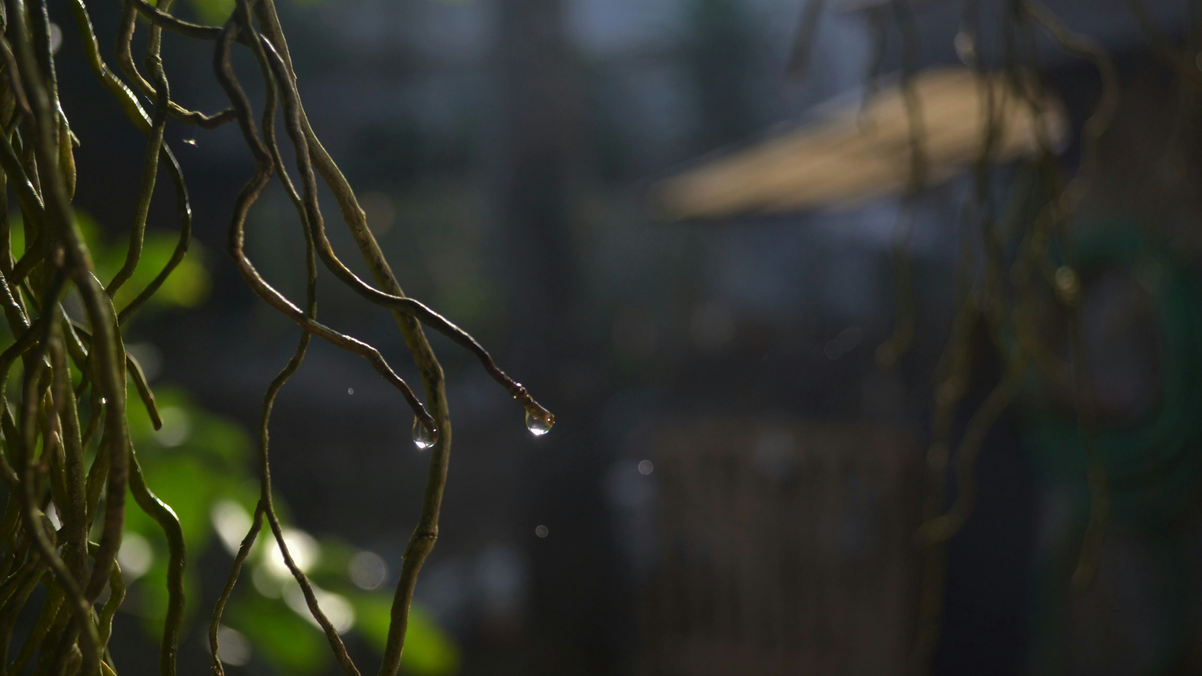 Photo by trackernout_