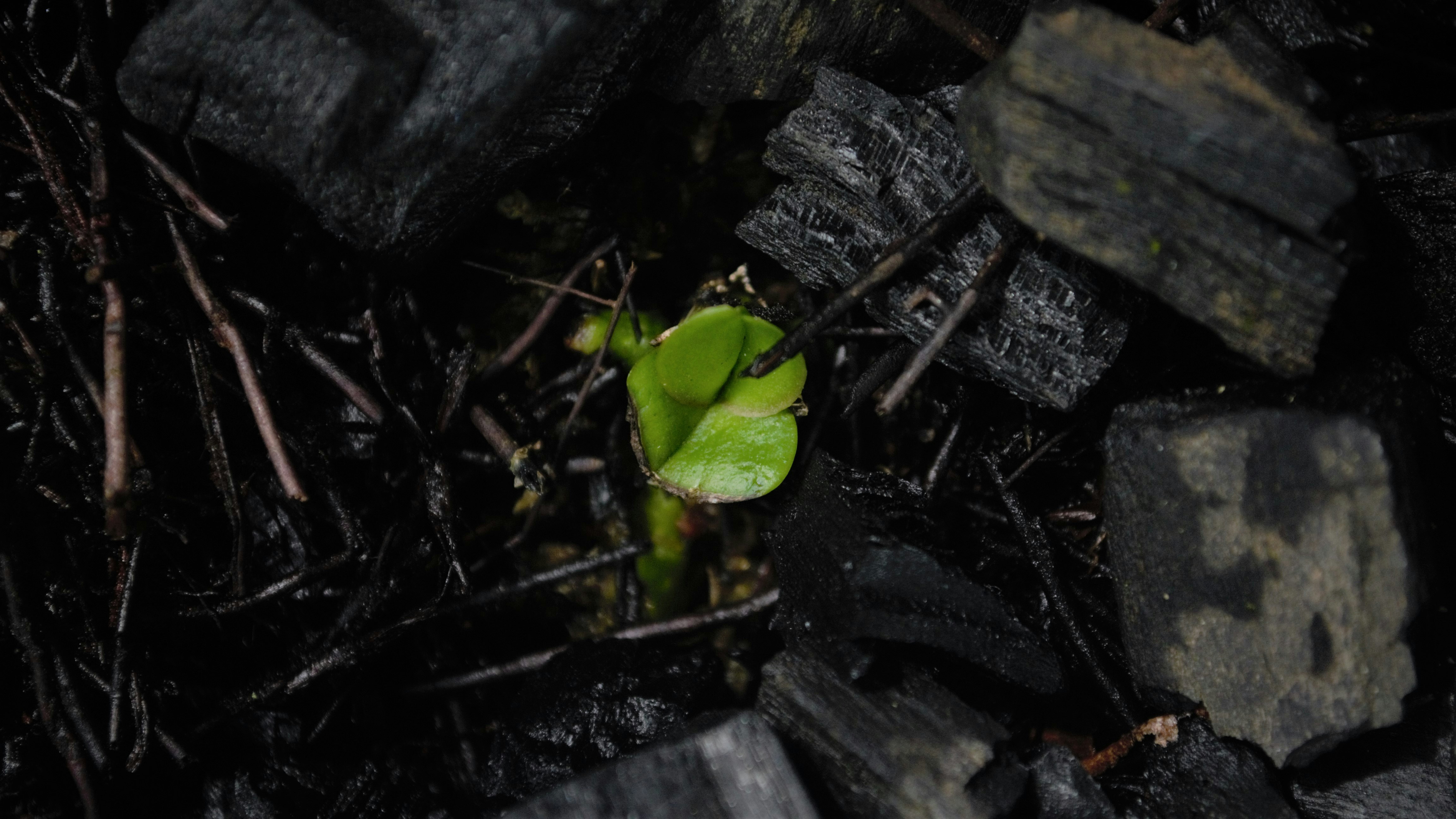 Photo by trackernout_