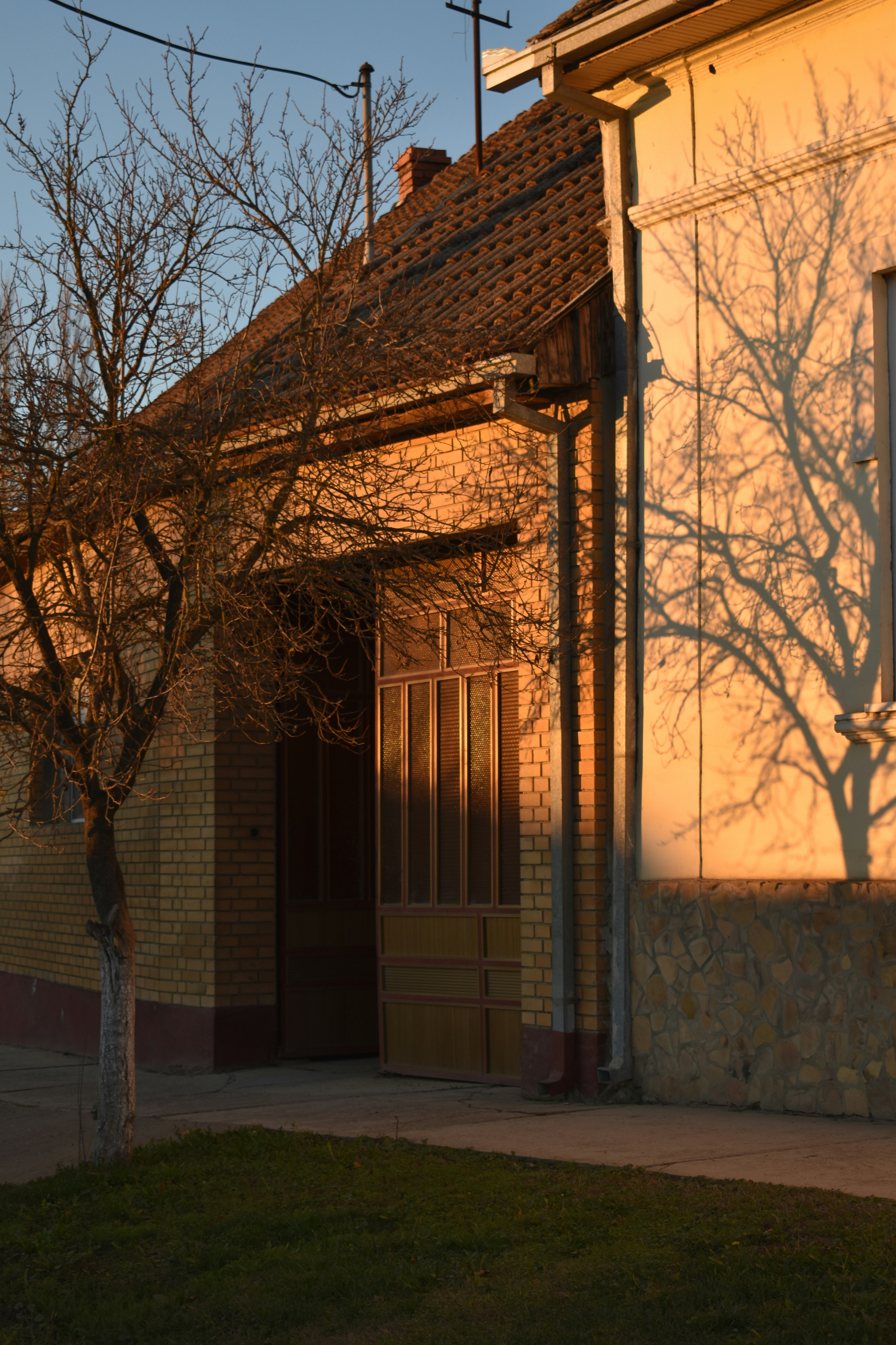 Photo by anastasijapuskas