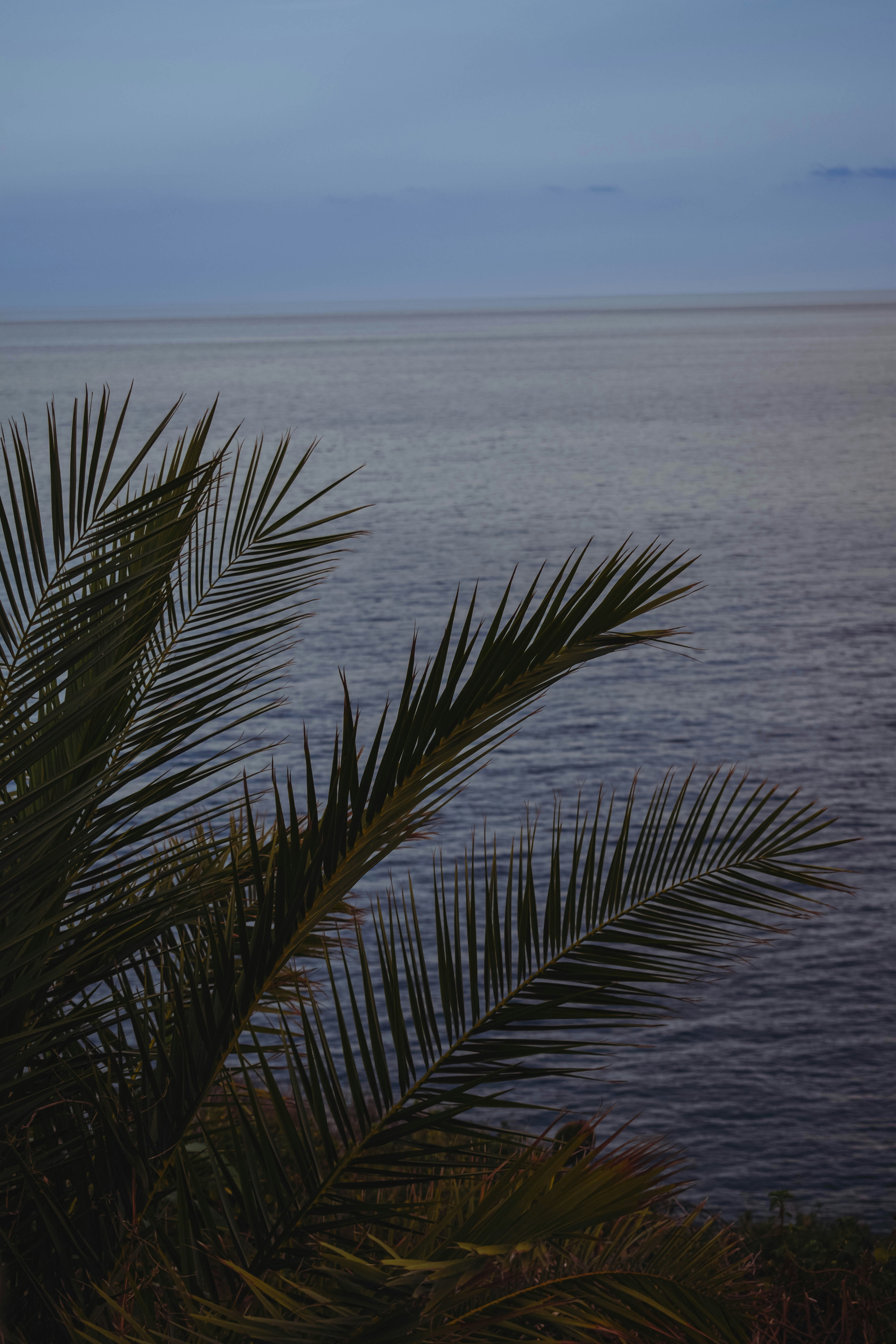 Photo by lluccphotos