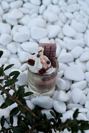 A dessert is placed in a small glass surrounded by smooth white pebbles. The dessert features layers of cream and chocolate, topped with whipped cream, chocolate chips, coffee beans, and a piece of chocolate. A green leafy branch is visible on the left side of the image.
