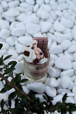 A dessert is placed in a small glass surrounded by smooth white pebbles. The dessert features layers of cream and chocolate, topped with whipped cream, chocolate chips, coffee beans, and a piece of chocolate. A green leafy branch is visible on the left side of the image.