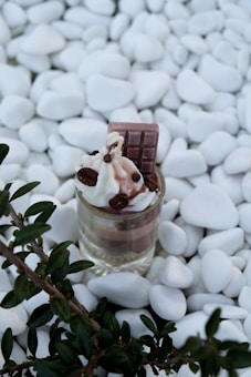 A dessert is placed in a small glass surrounded by smooth white pebbles. The dessert features layers of cream and chocolate, topped with whipped cream, chocolate chips, coffee beans, and a piece of chocolate. A green leafy branch is visible on the left side of the image.
