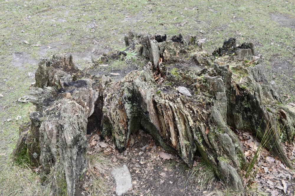 a pile of wood sitting on top of a grass covered field