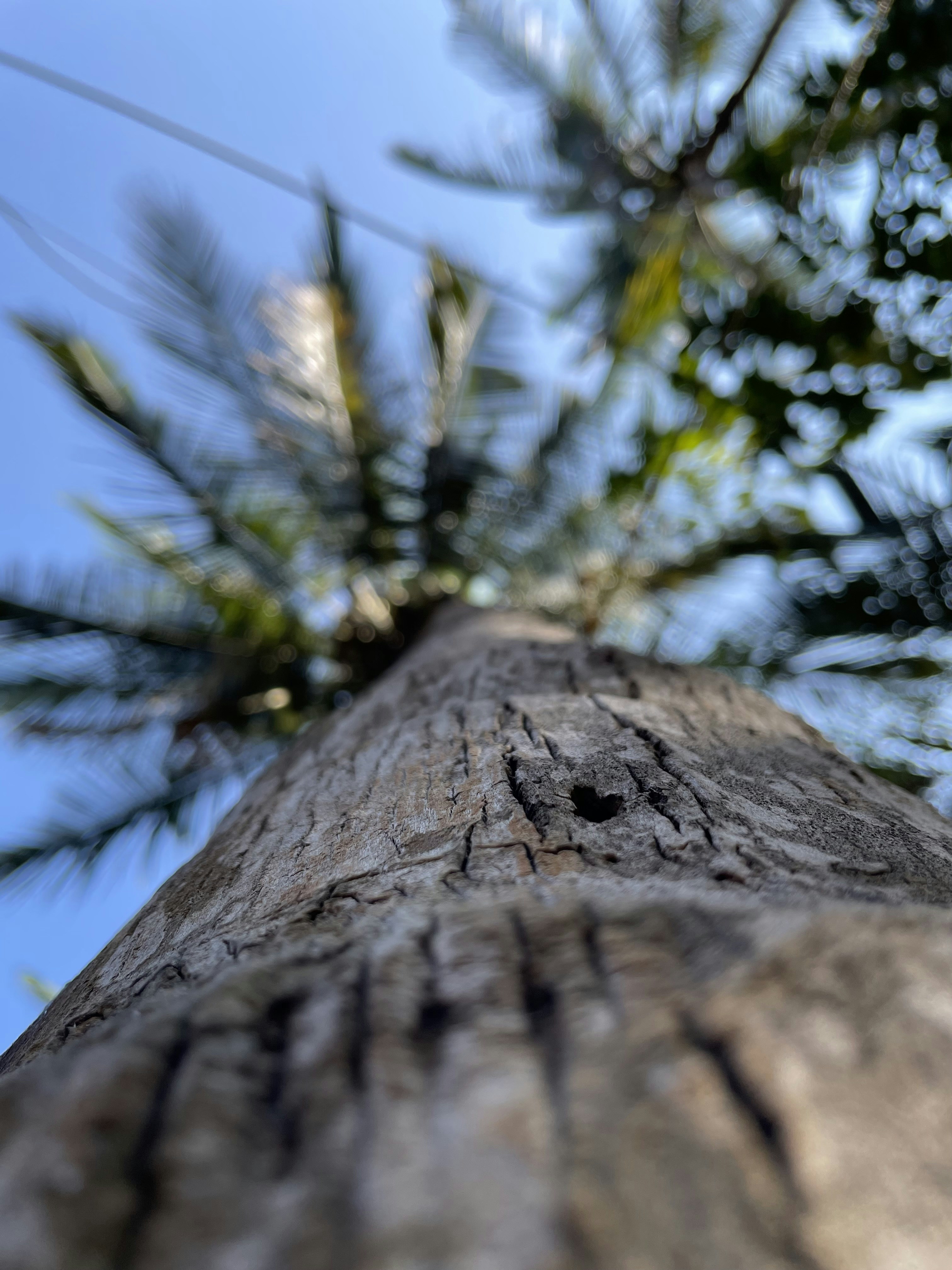 Photo by razimkabber