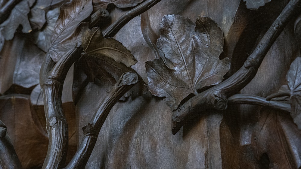 a close up of leaves on a wooden wall