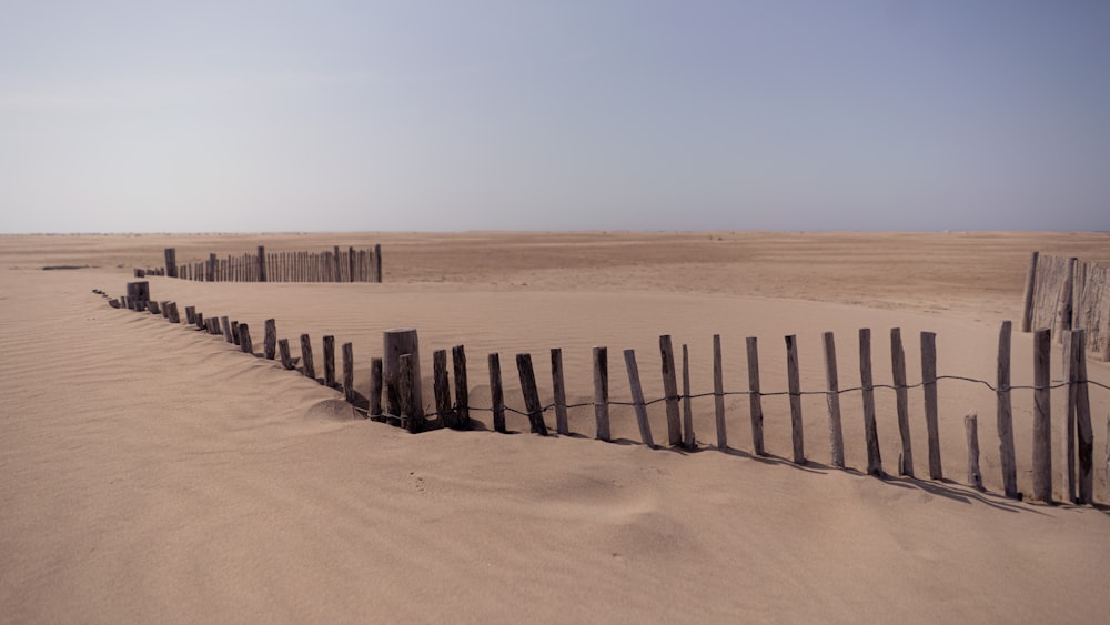 a line of wooden posts in the sand