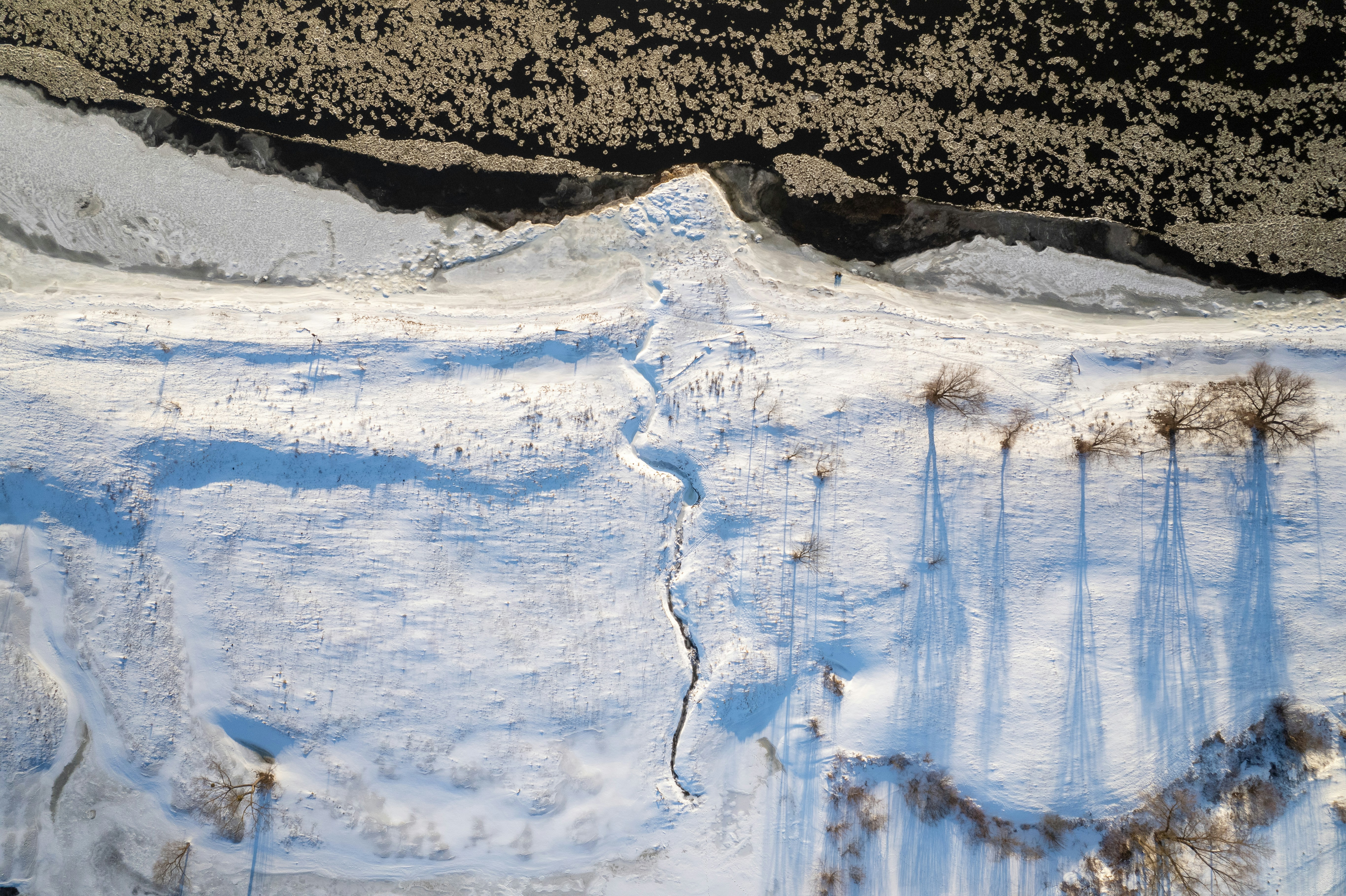 Photo by justinas_bolys