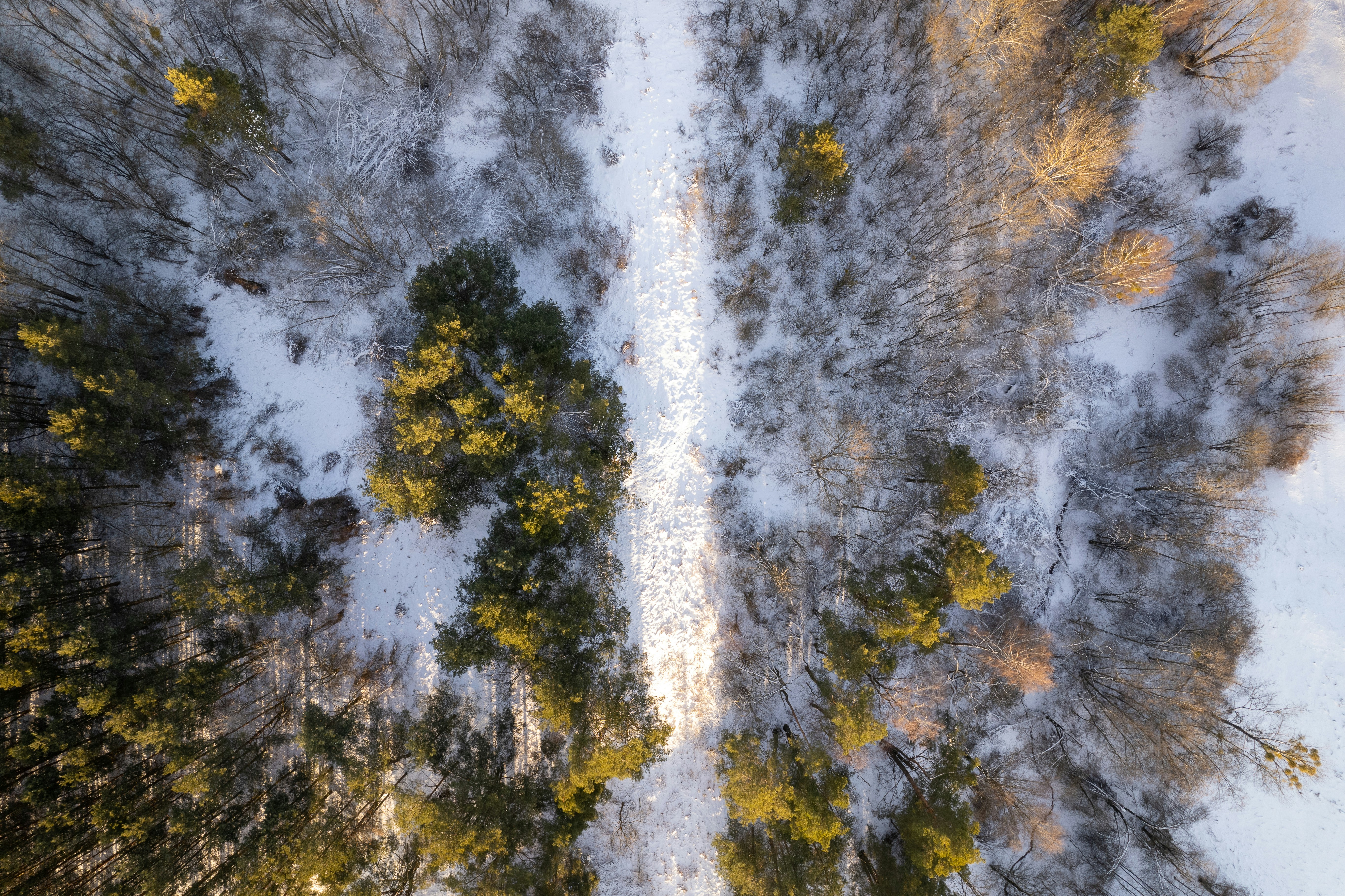 Photo by justinas_bolys