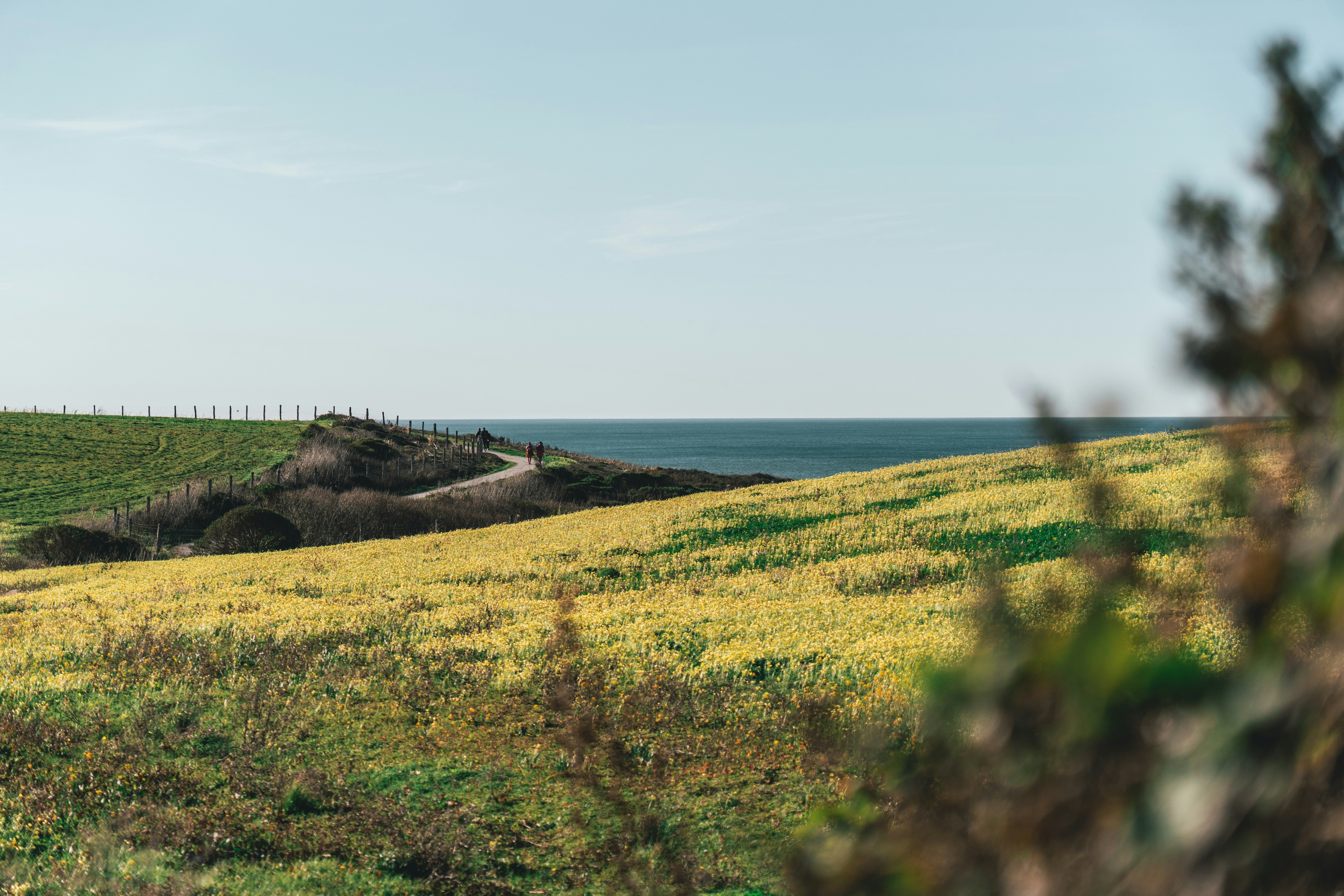 Photo by srakotoarivelo7