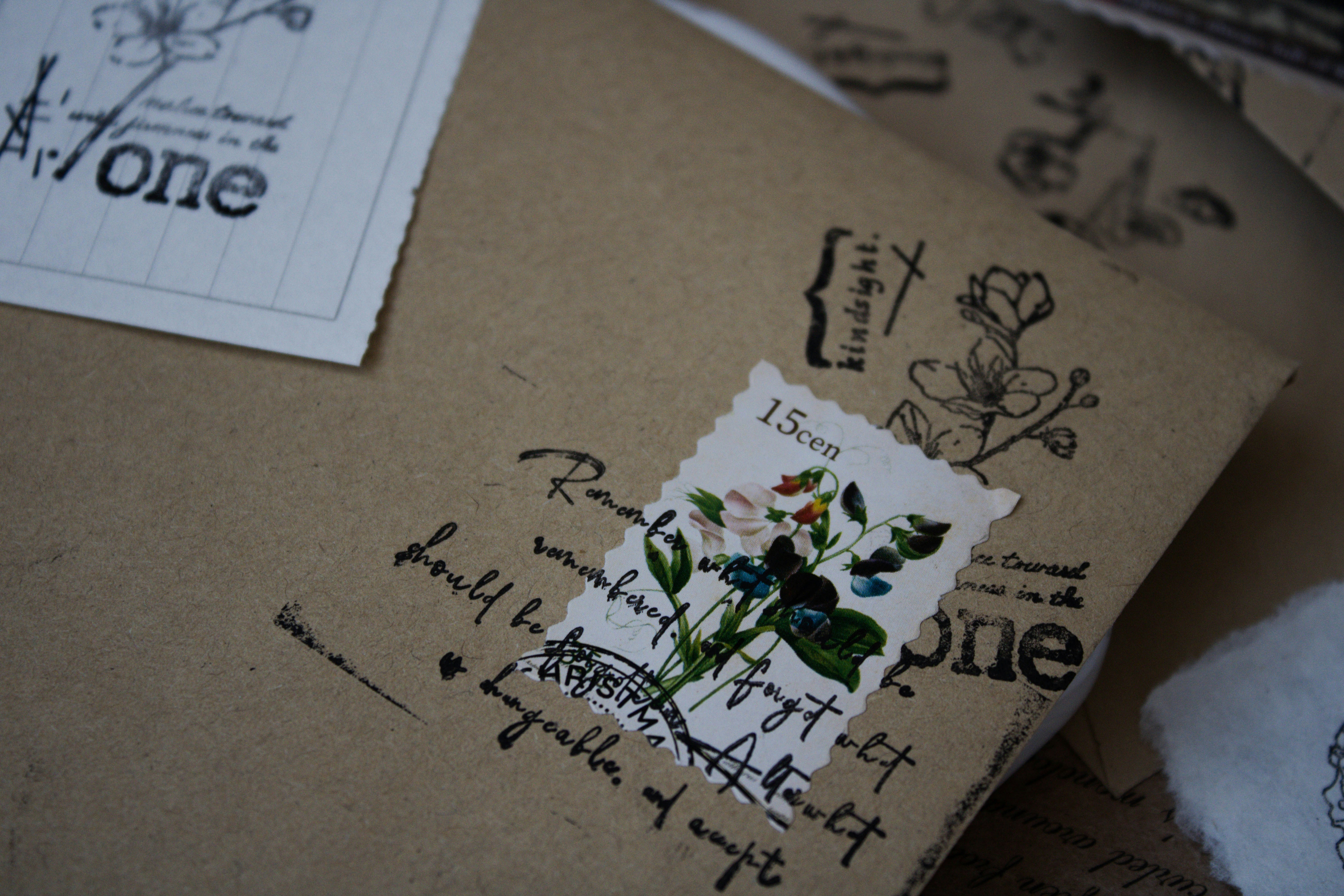 Photo by this_misty_garden