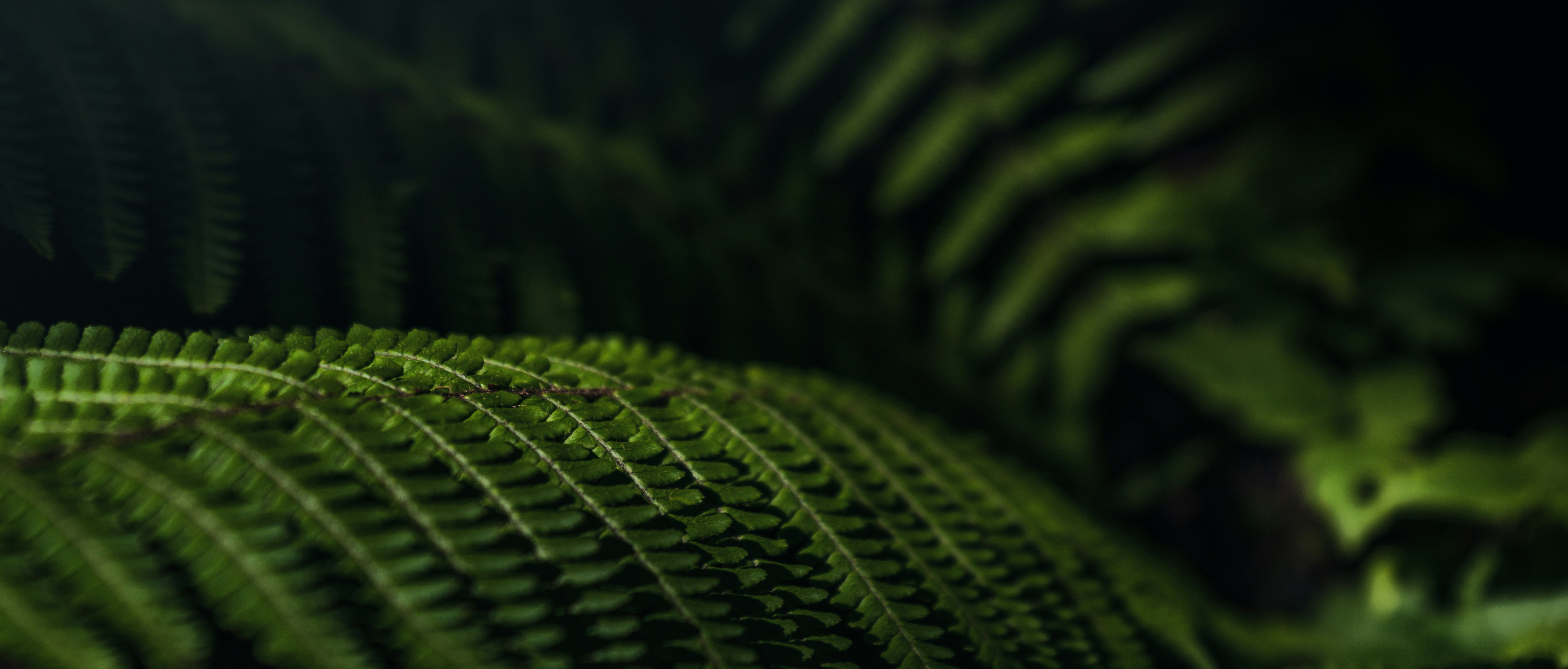 Photo by jayeshjoshi12