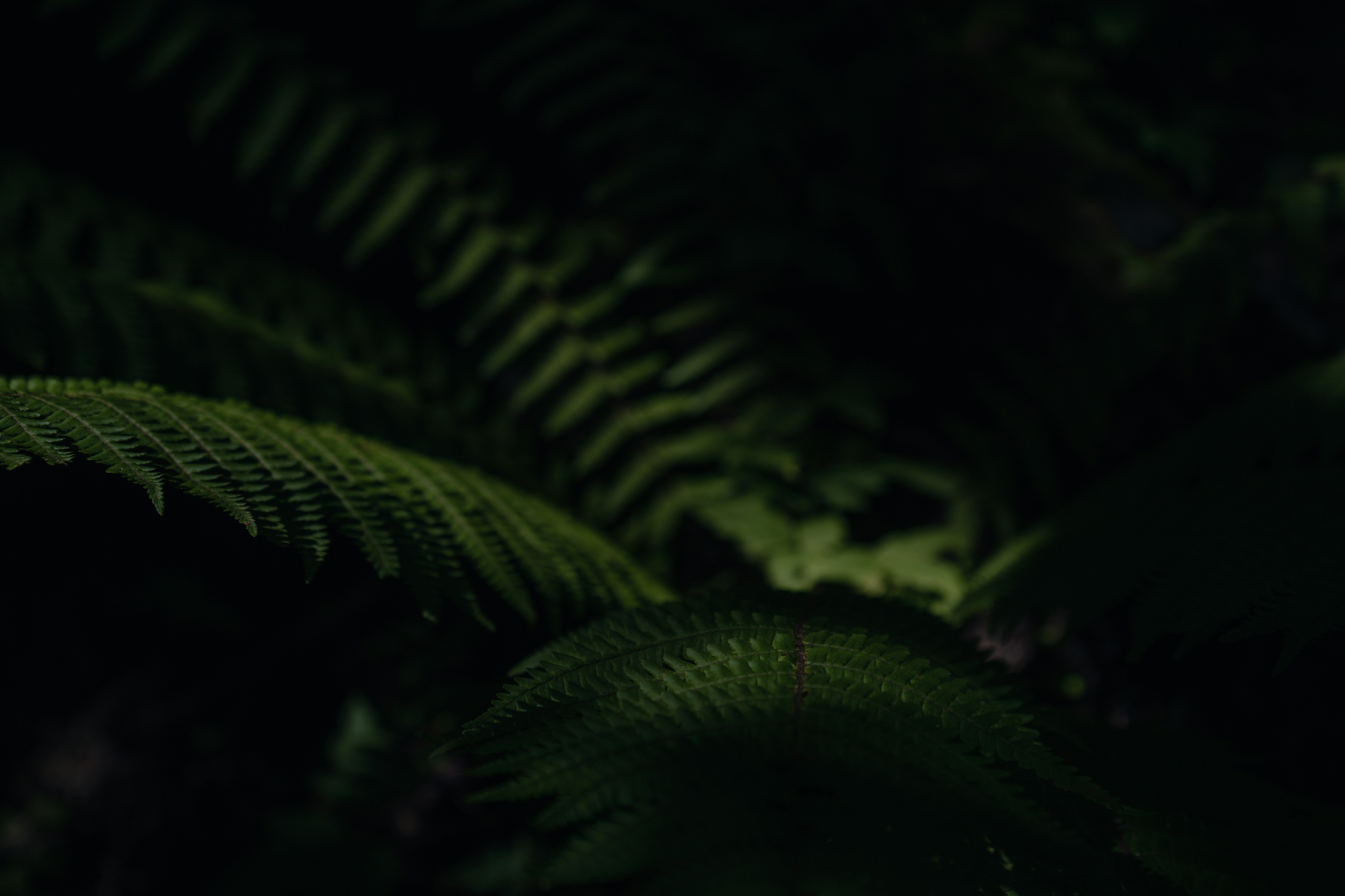 Photo by jayeshjoshi12