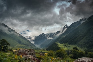 a view of a valley with mountains in the background