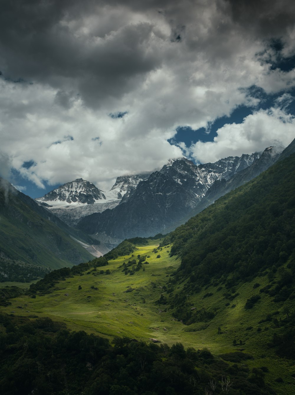 a green valley with mountains in the background