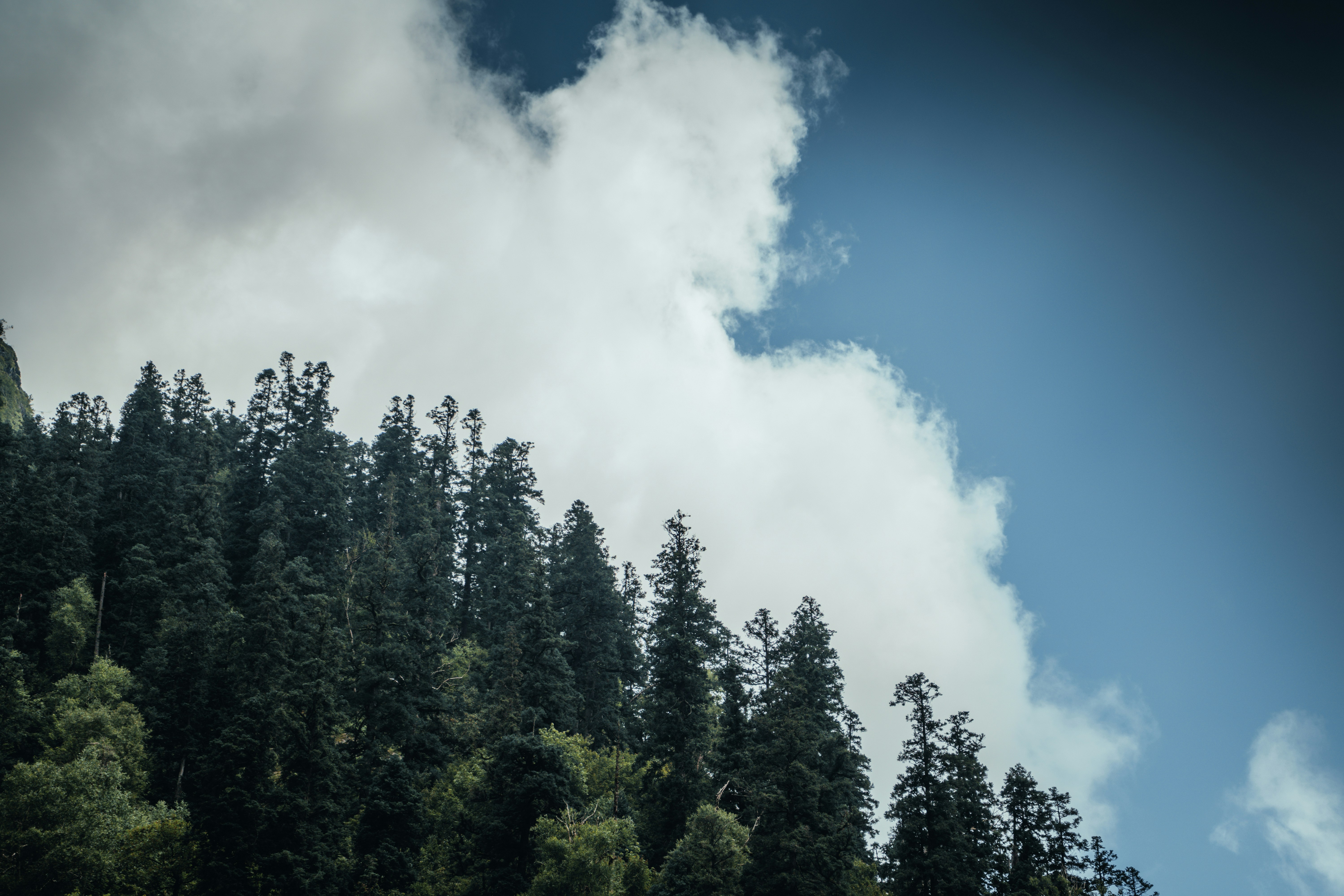 Photo by jayeshjoshi12