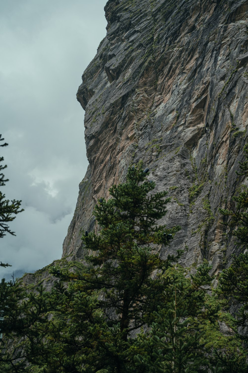 a tall rock face with trees around it