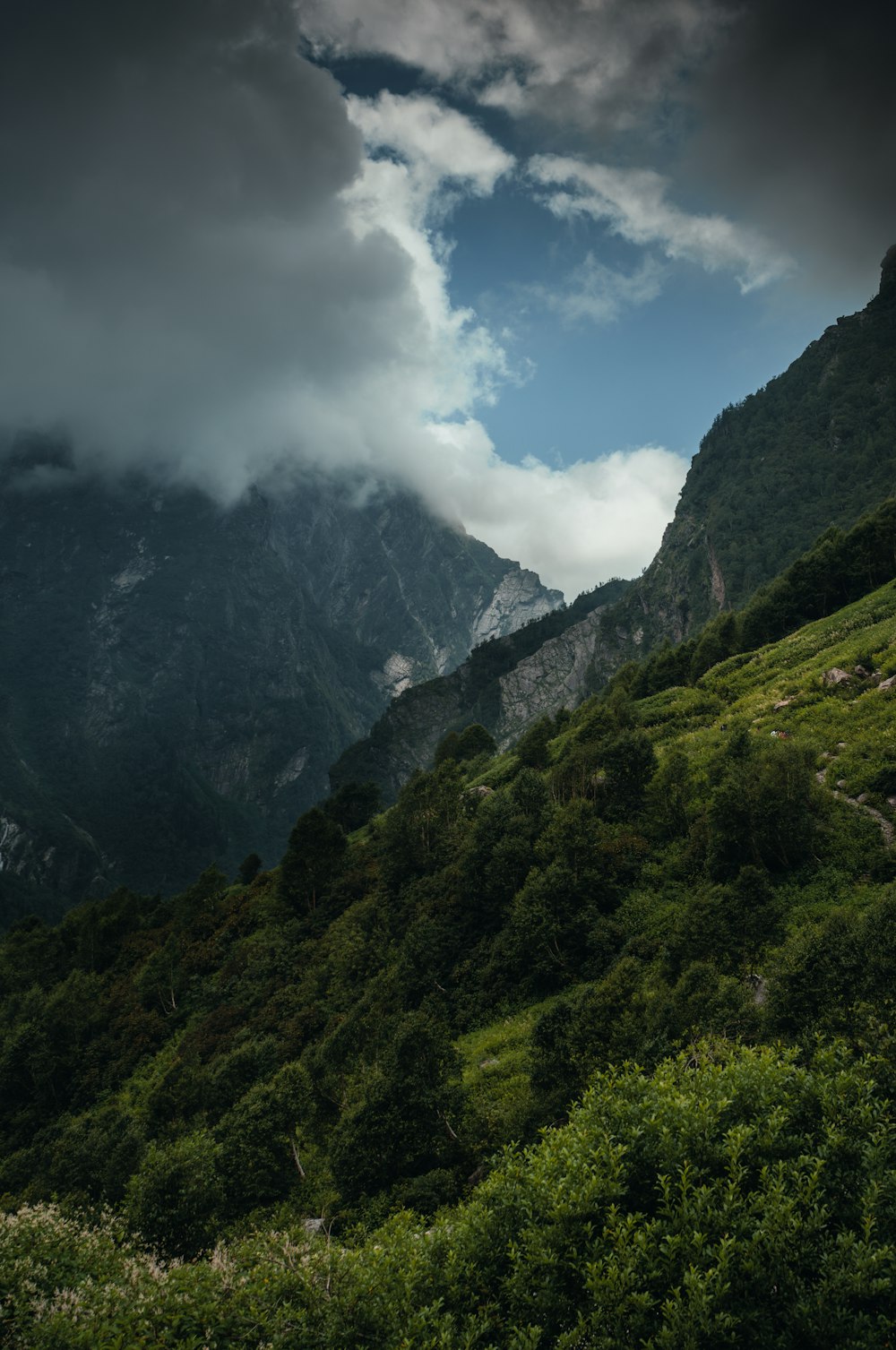 a lush green hillside under a cloudy sky