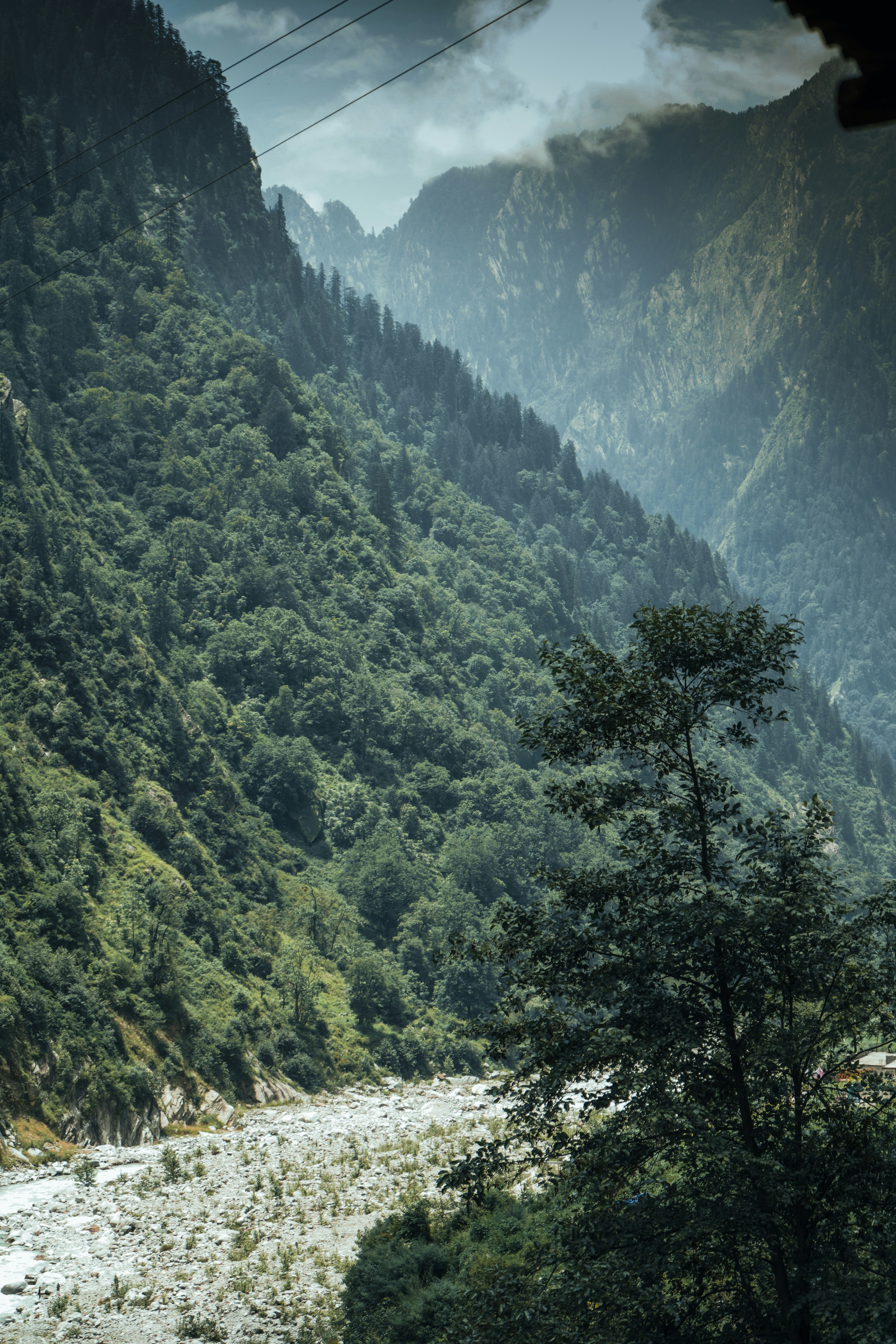 Photo by jayeshjoshi12