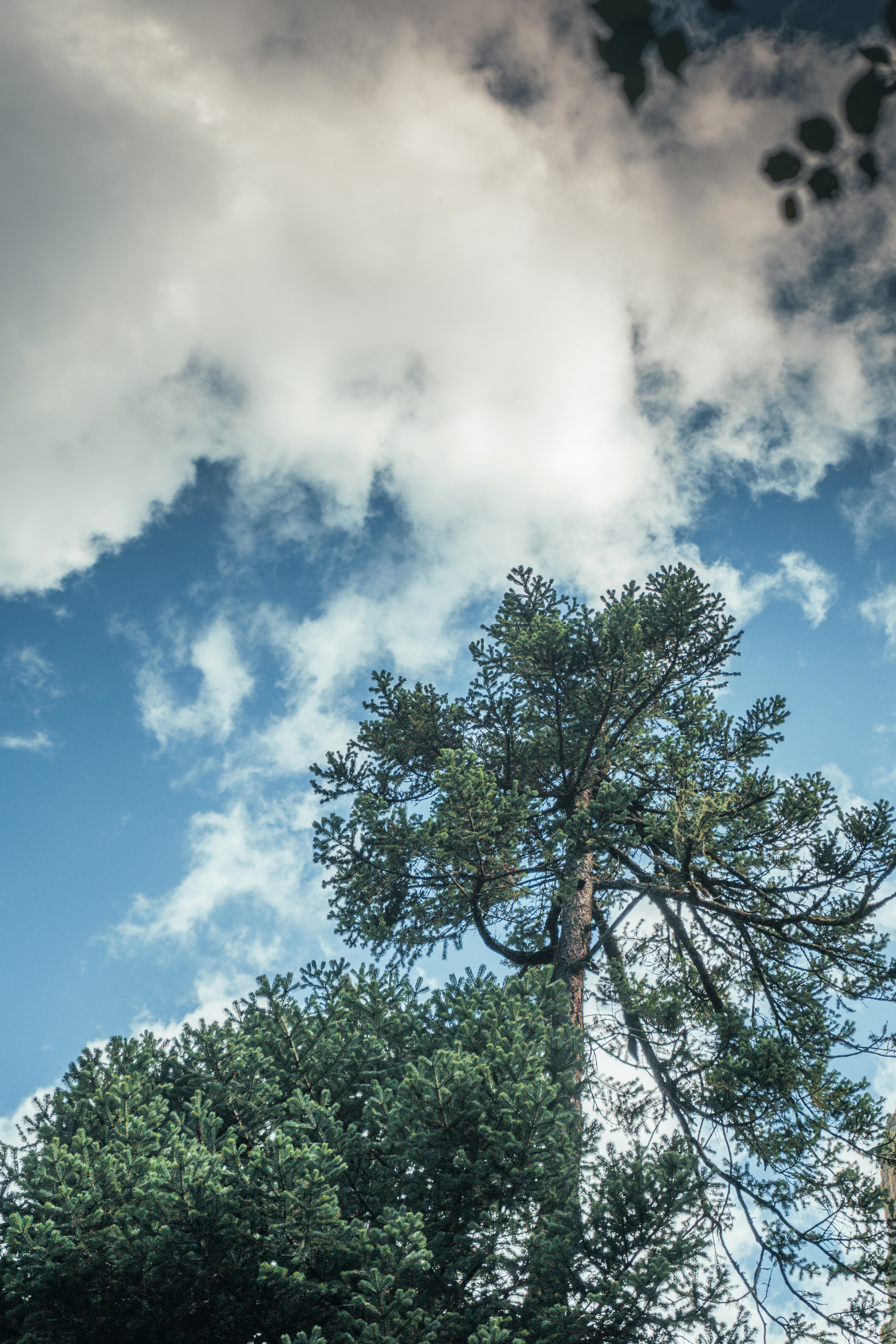 Photo by jayeshjoshi12