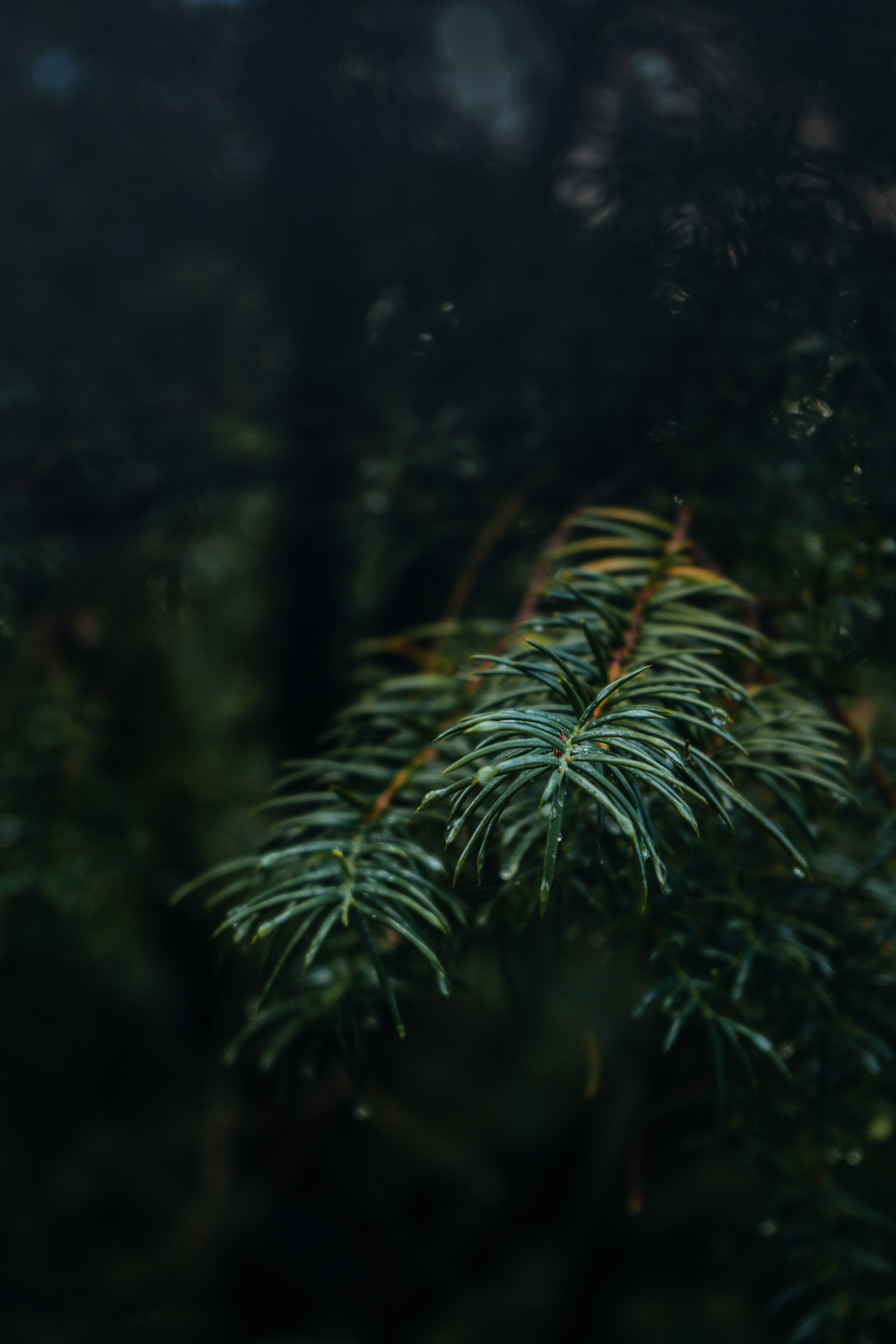 Photo by jayeshjoshi12