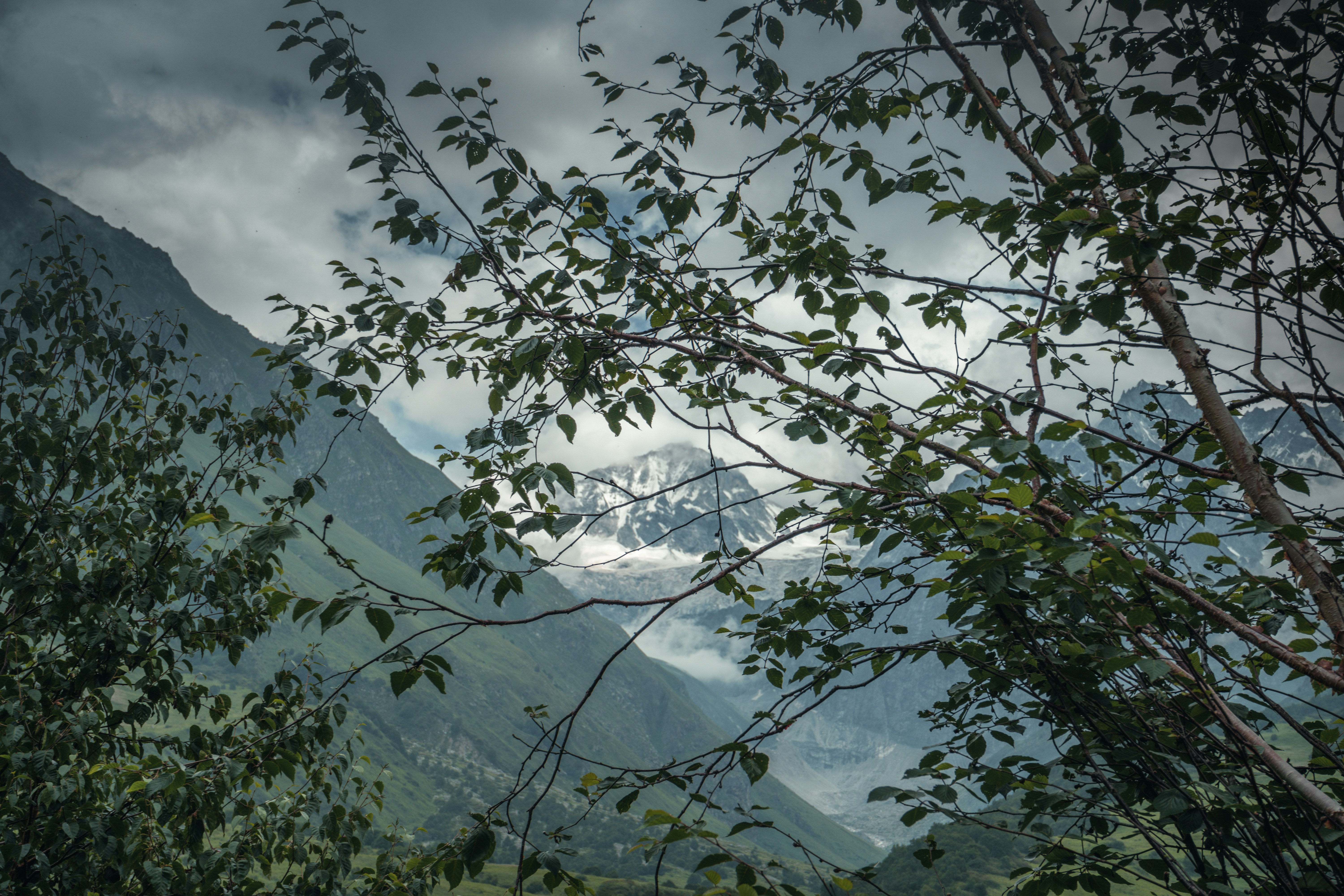 Photo by jayeshjoshi12