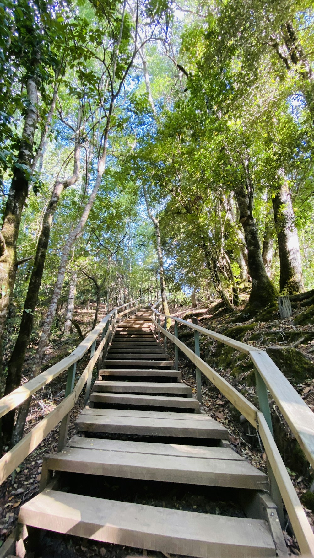 a set of stairs leading up to the top of a hill