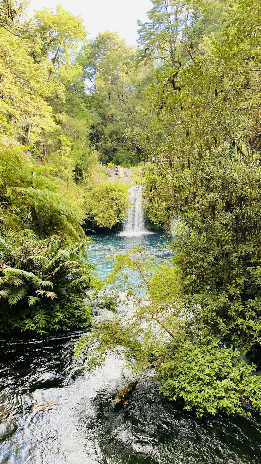 a small waterfall in the middle of a forest