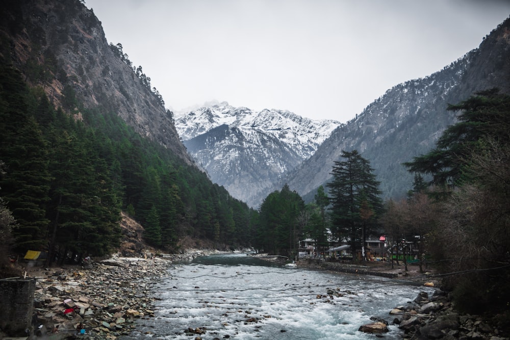 Un fiume che attraversa una lussureggiante foresta verde