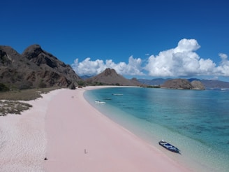 a boat is sitting on a pink beach