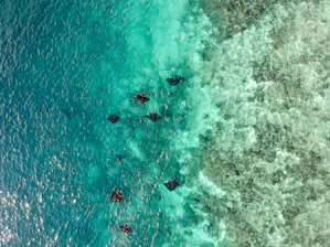 a group of people swimming in the ocean