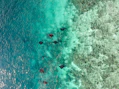 a group of people swimming in the ocean