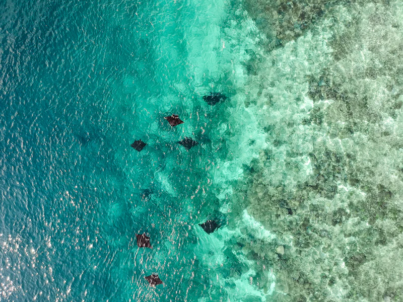 Wisatawan snorkeling di laut jernih saat open trip Labuan Bajo