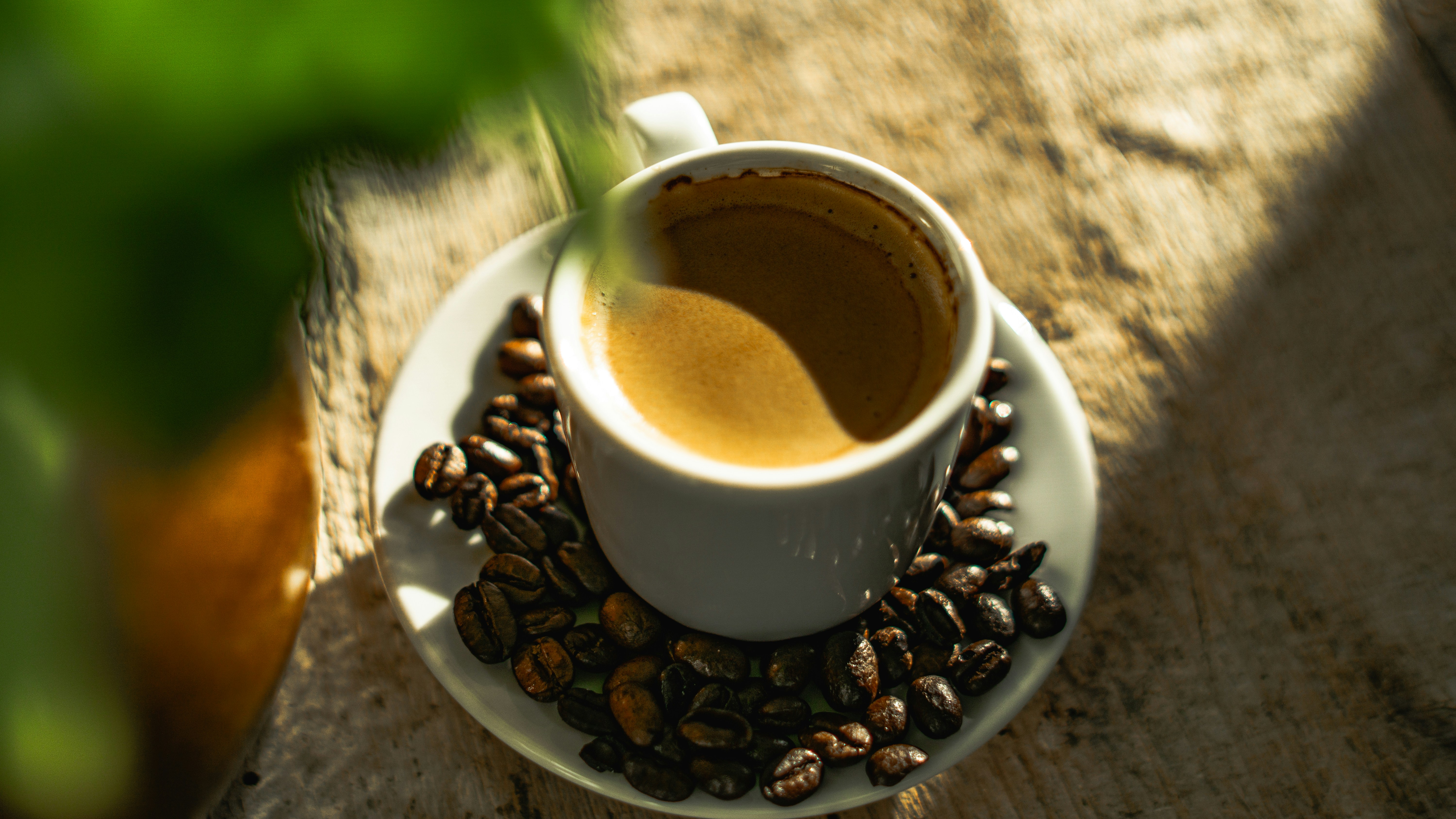 adhd 영양제 복용 시간과 카페인 조합 주의할 점 정리