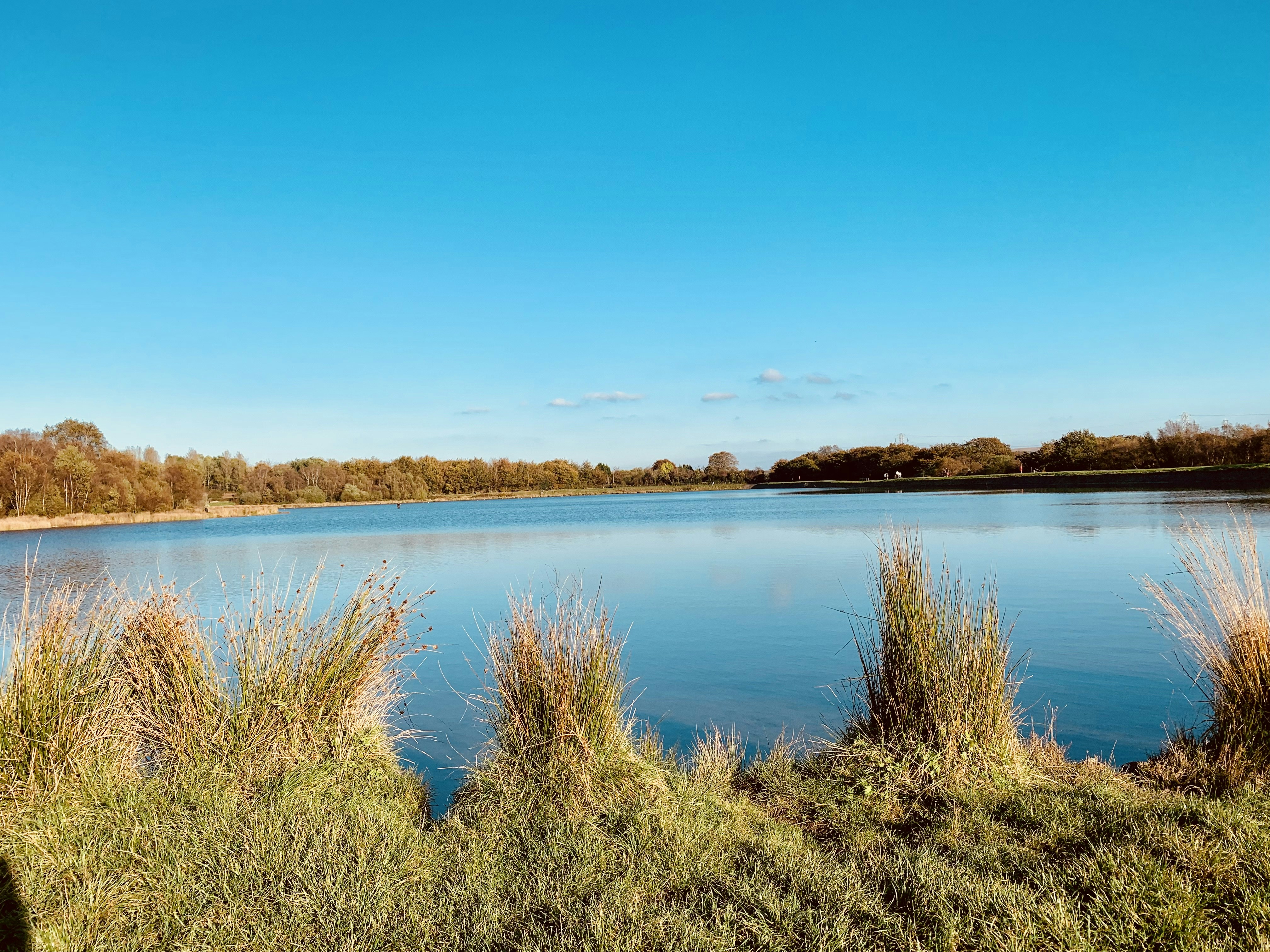 Photo by andywatkins