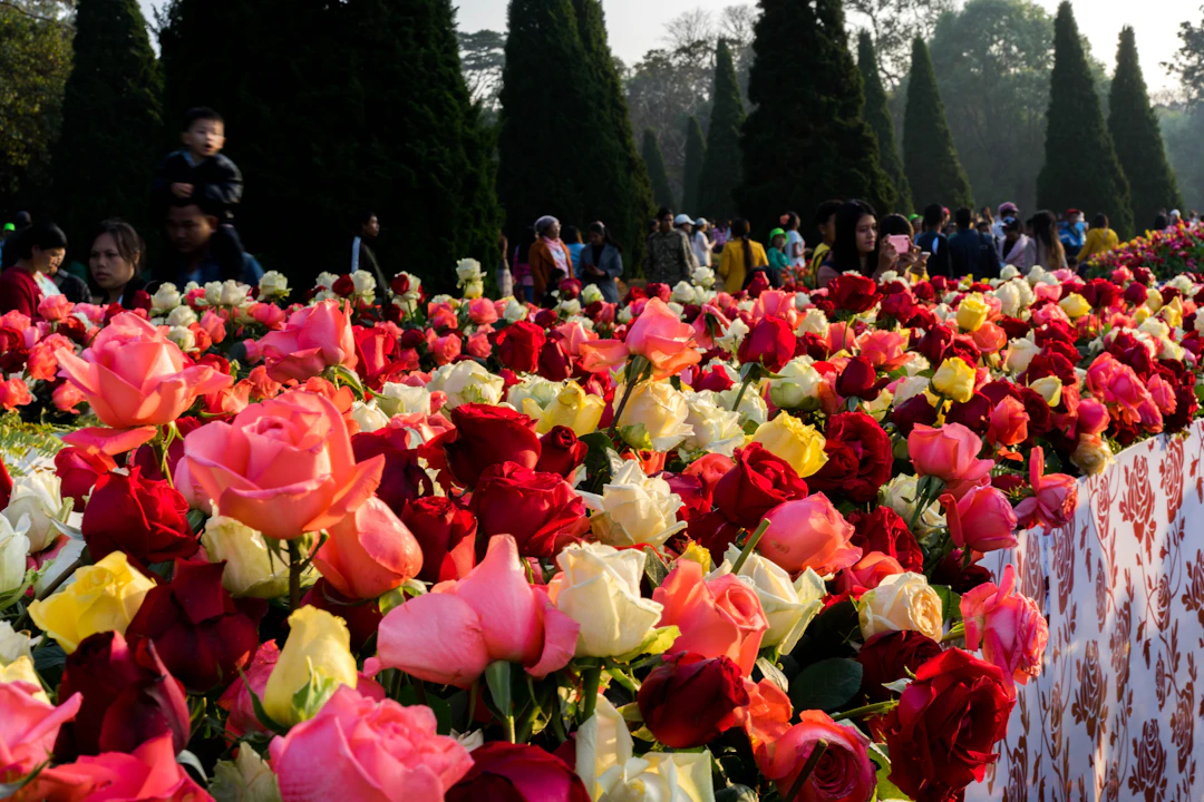 3-Day Pyin Oo Lwin Family Itinerary | Relaxed Hill Station Guide
