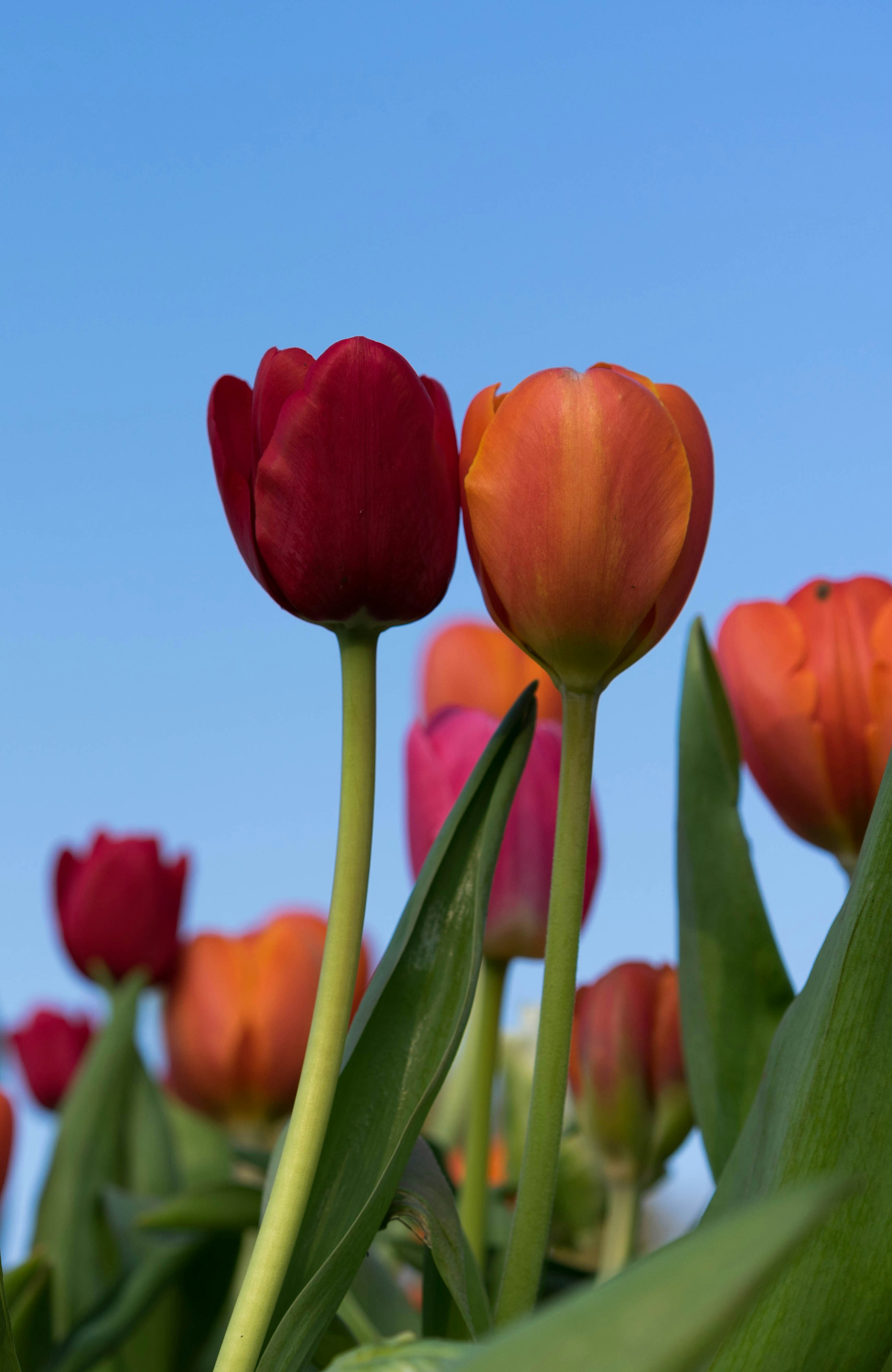 Photo by mrthetkhine