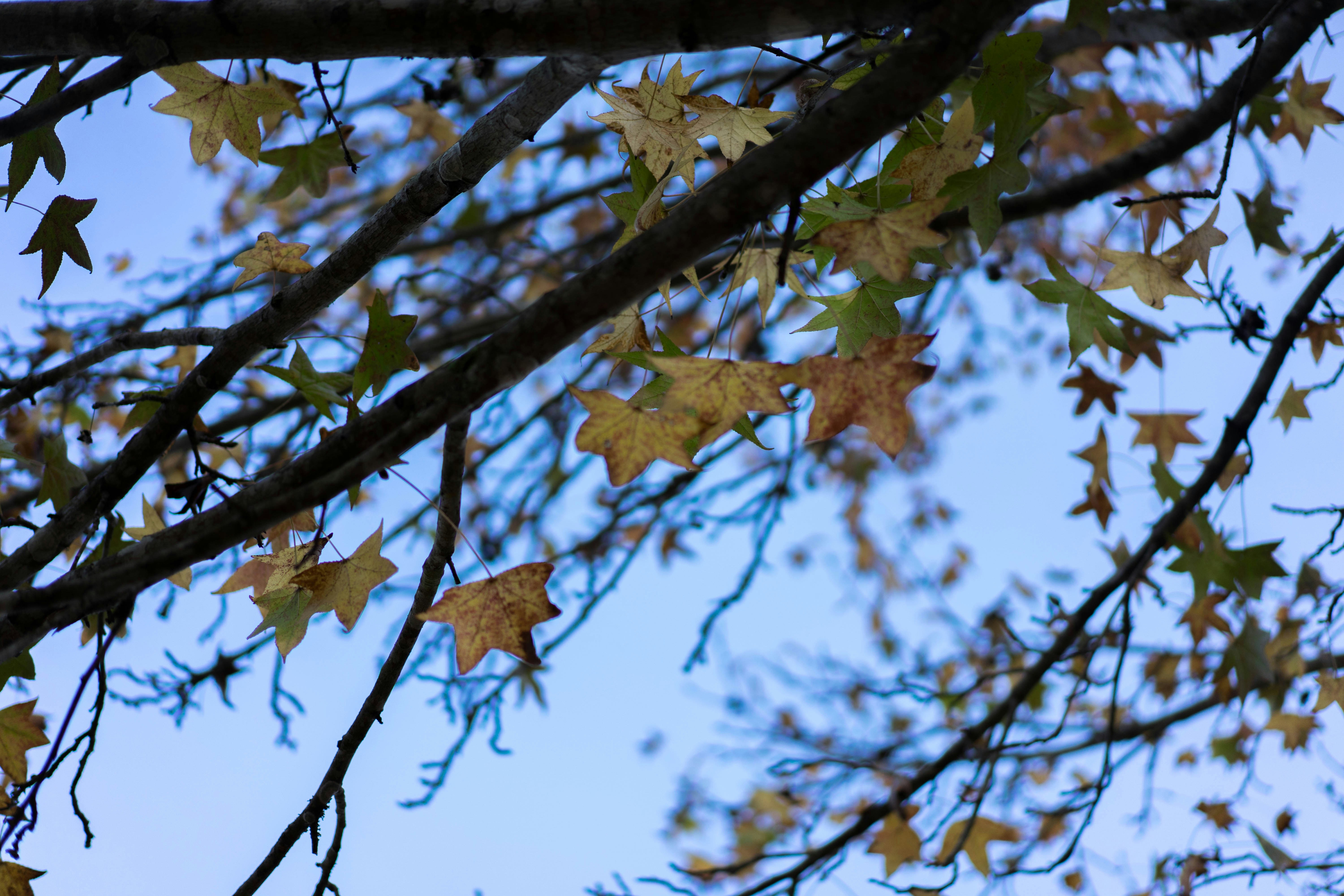 Photo by mrthetkhine