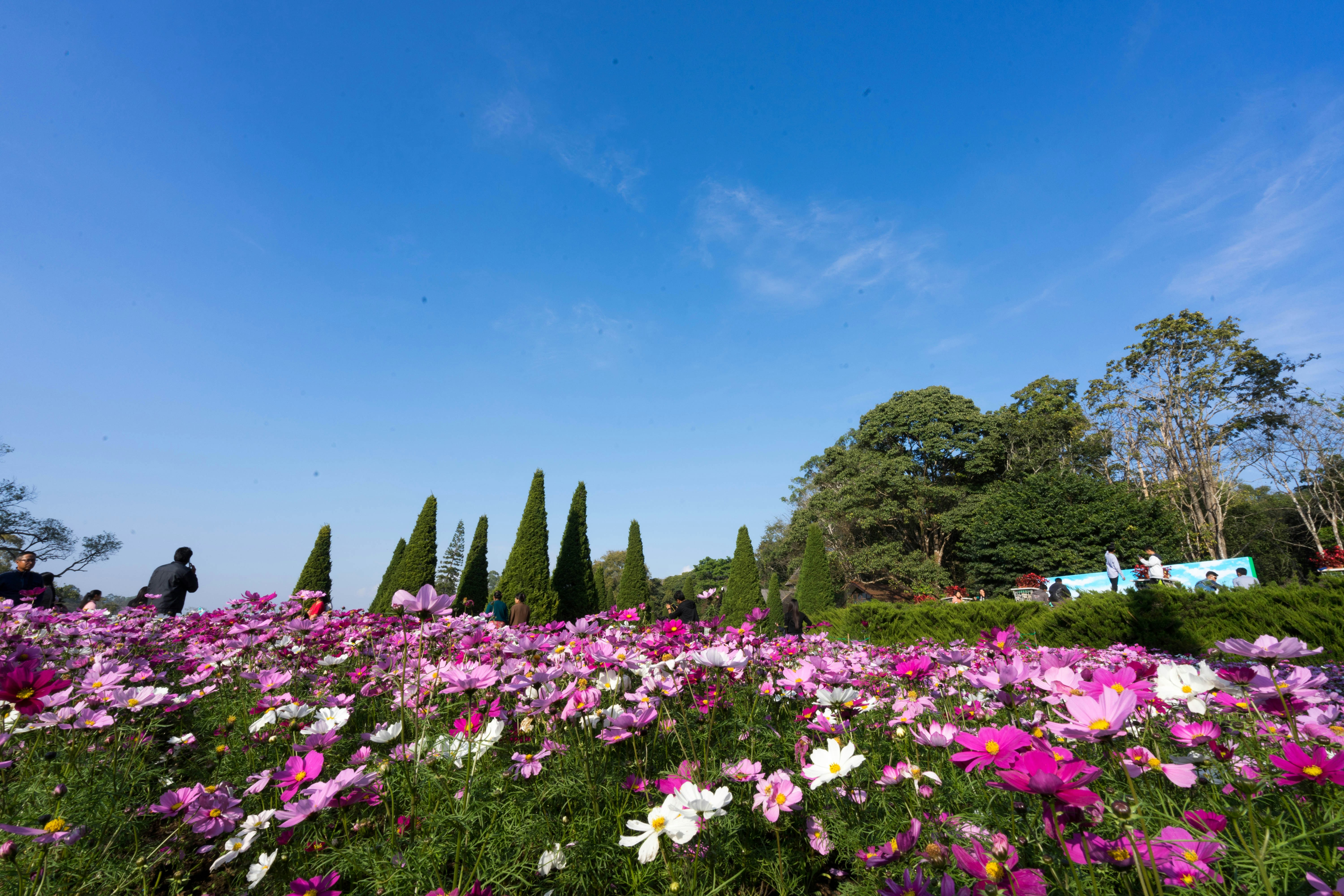 Photo by mrthetkhine