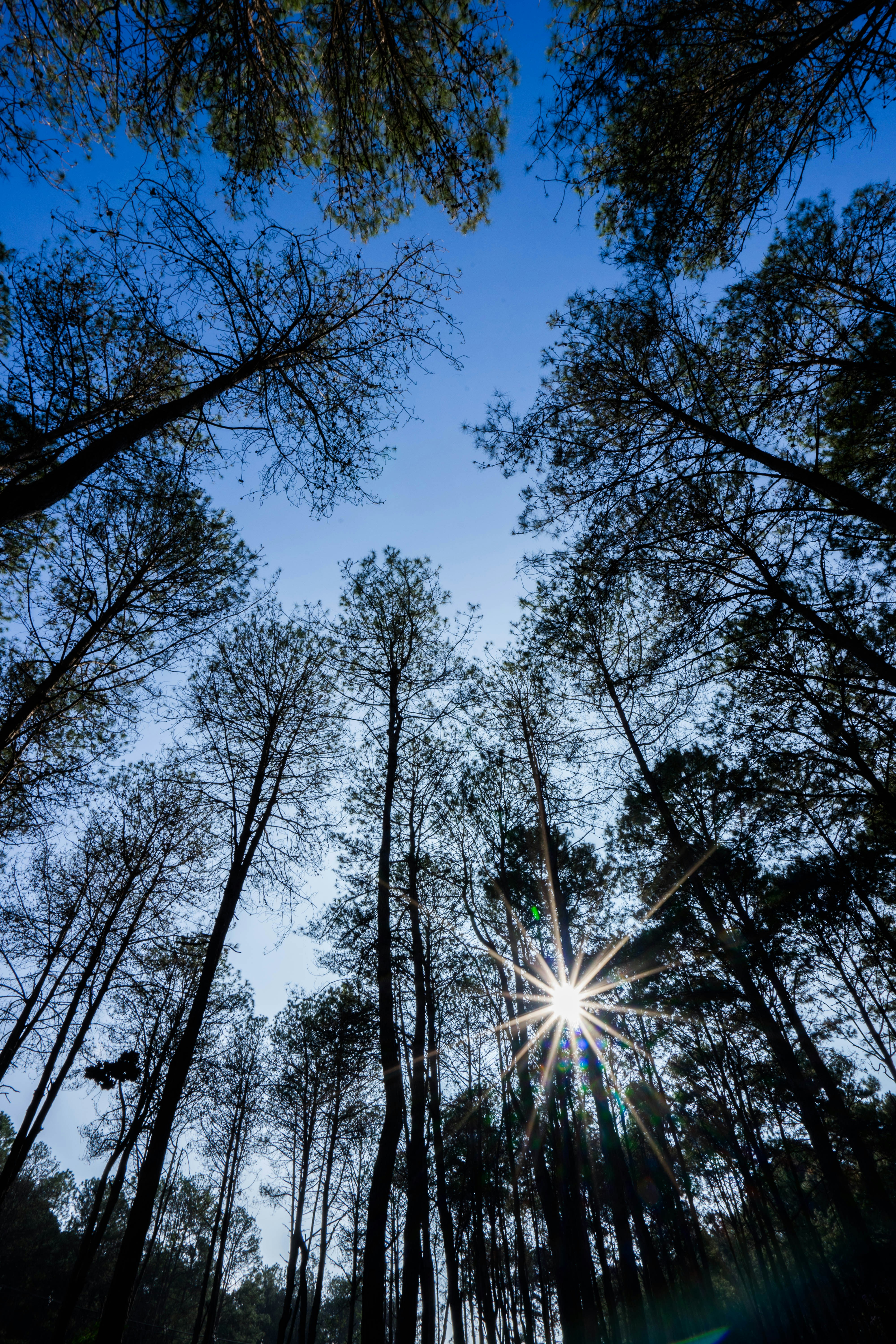 Photo by mrthetkhine