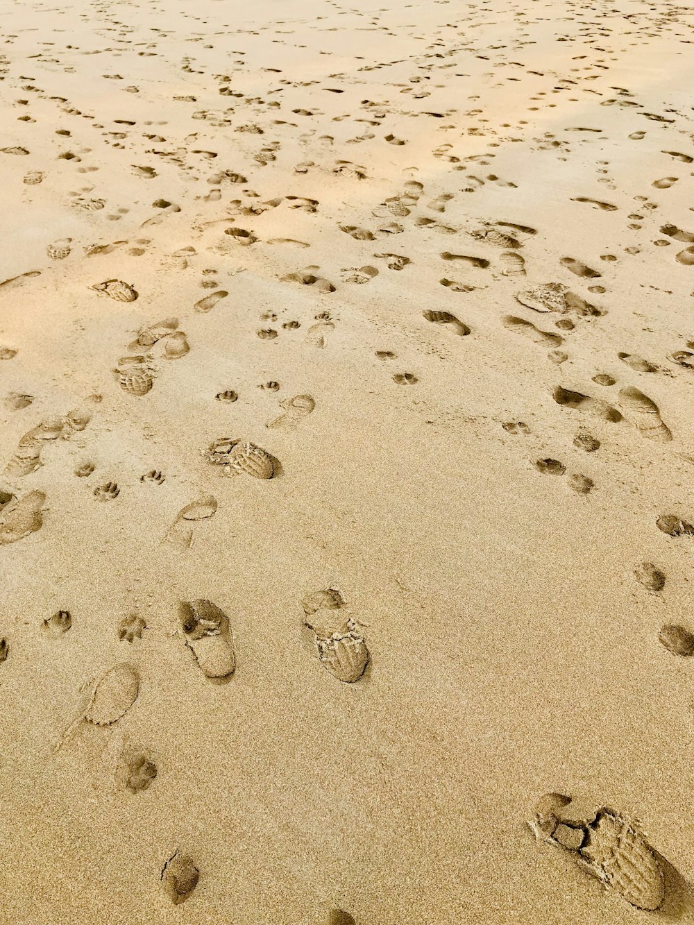 uma praia de areia coberta de muitas pegadas