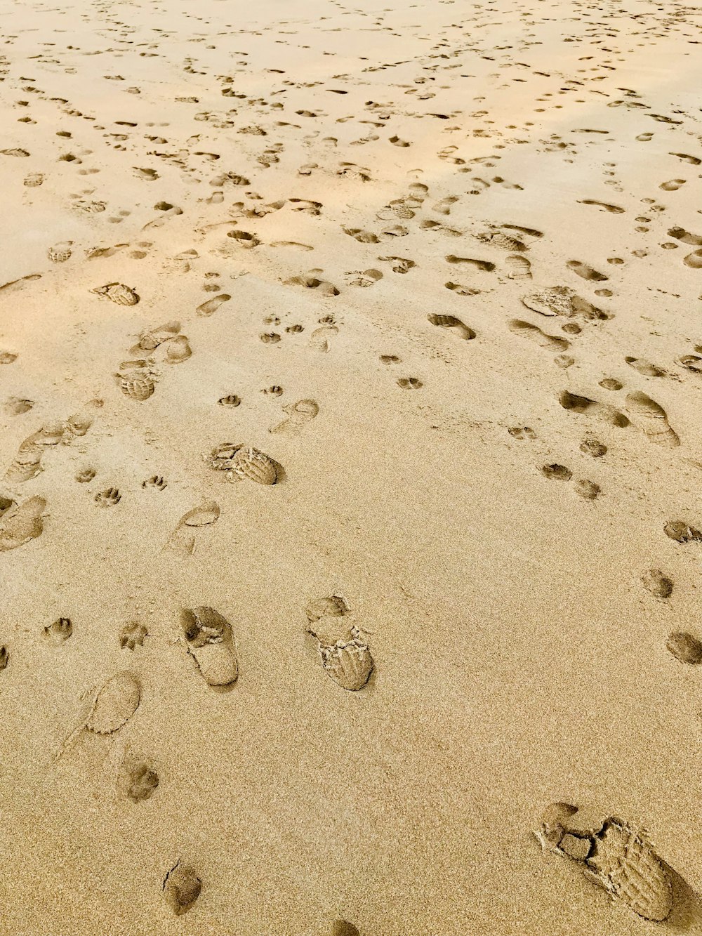 많은 발자국으로 덮인 모래 해변