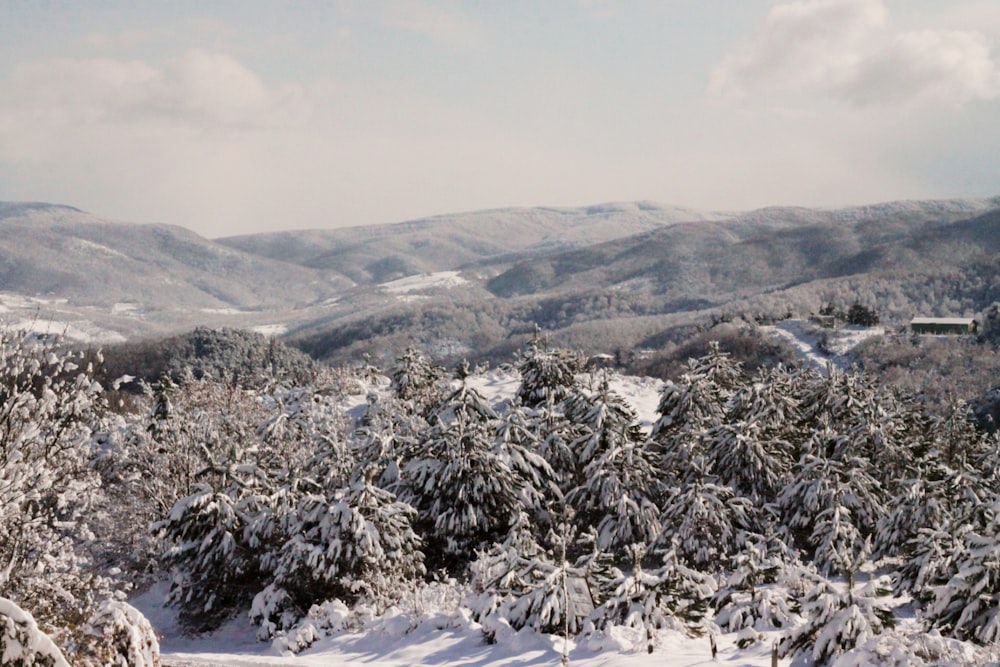 a view of a snow covered mountain range