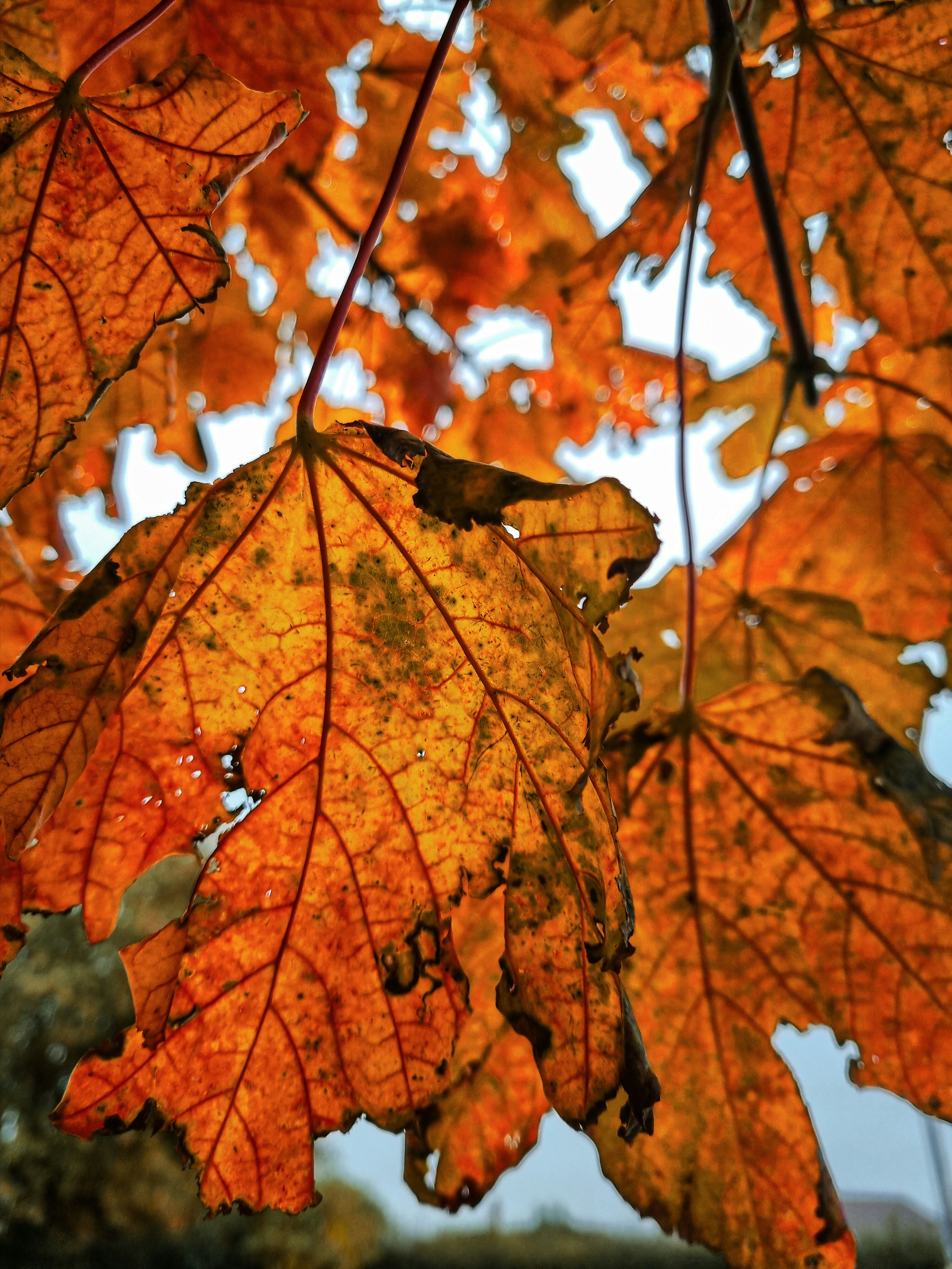 Photo by jasonrcharters