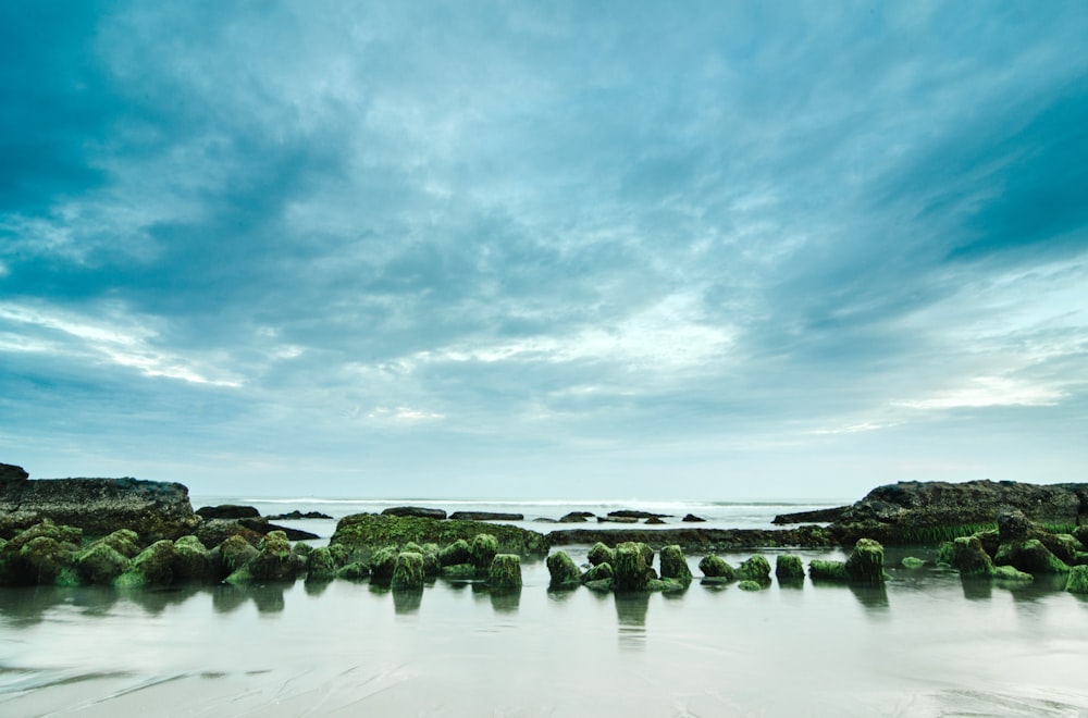 Una vista de una playa con rocas y agua