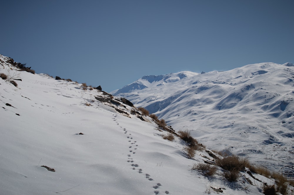 a snow covered mountain with tracks in the snow