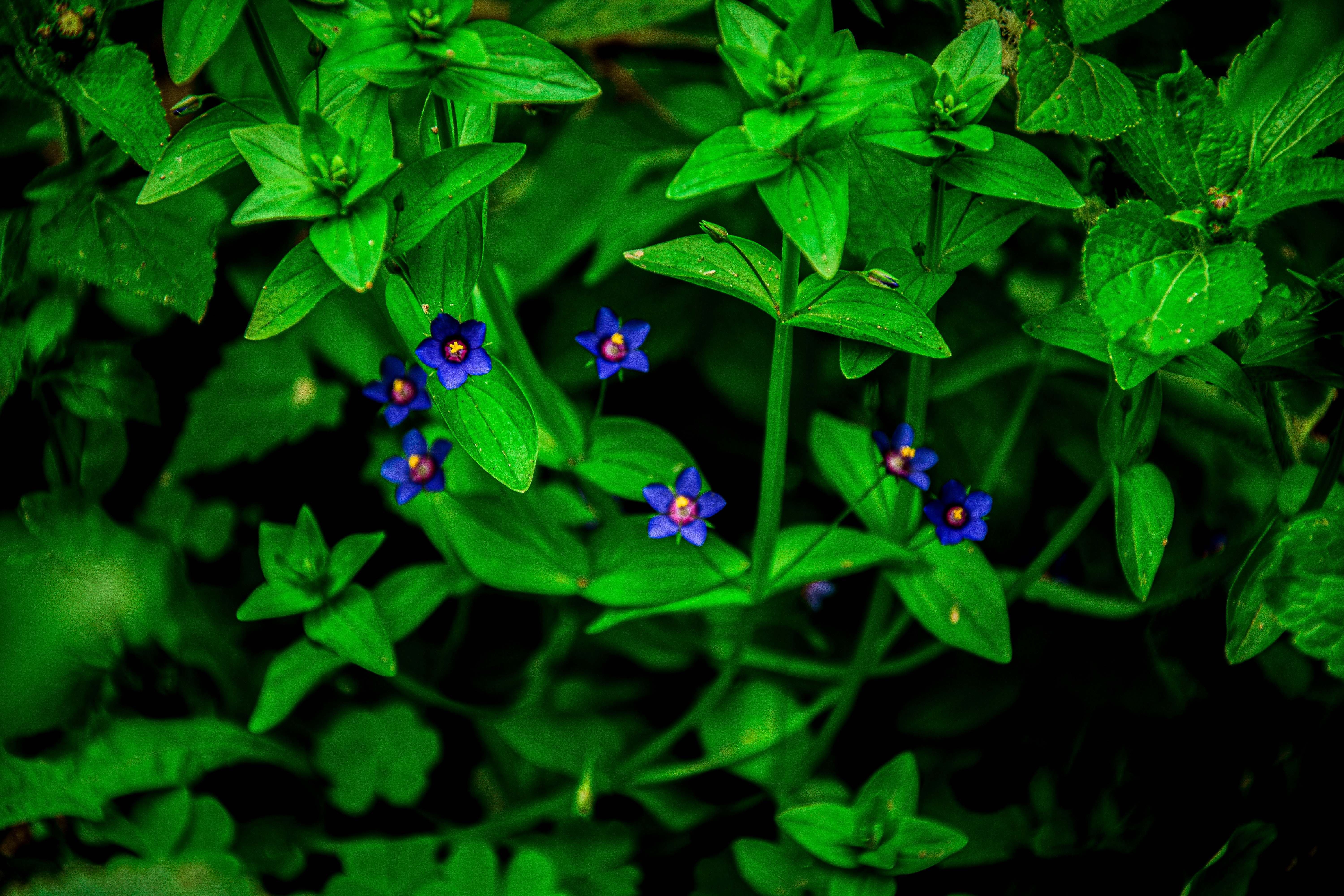 Photo by ujjwal9091